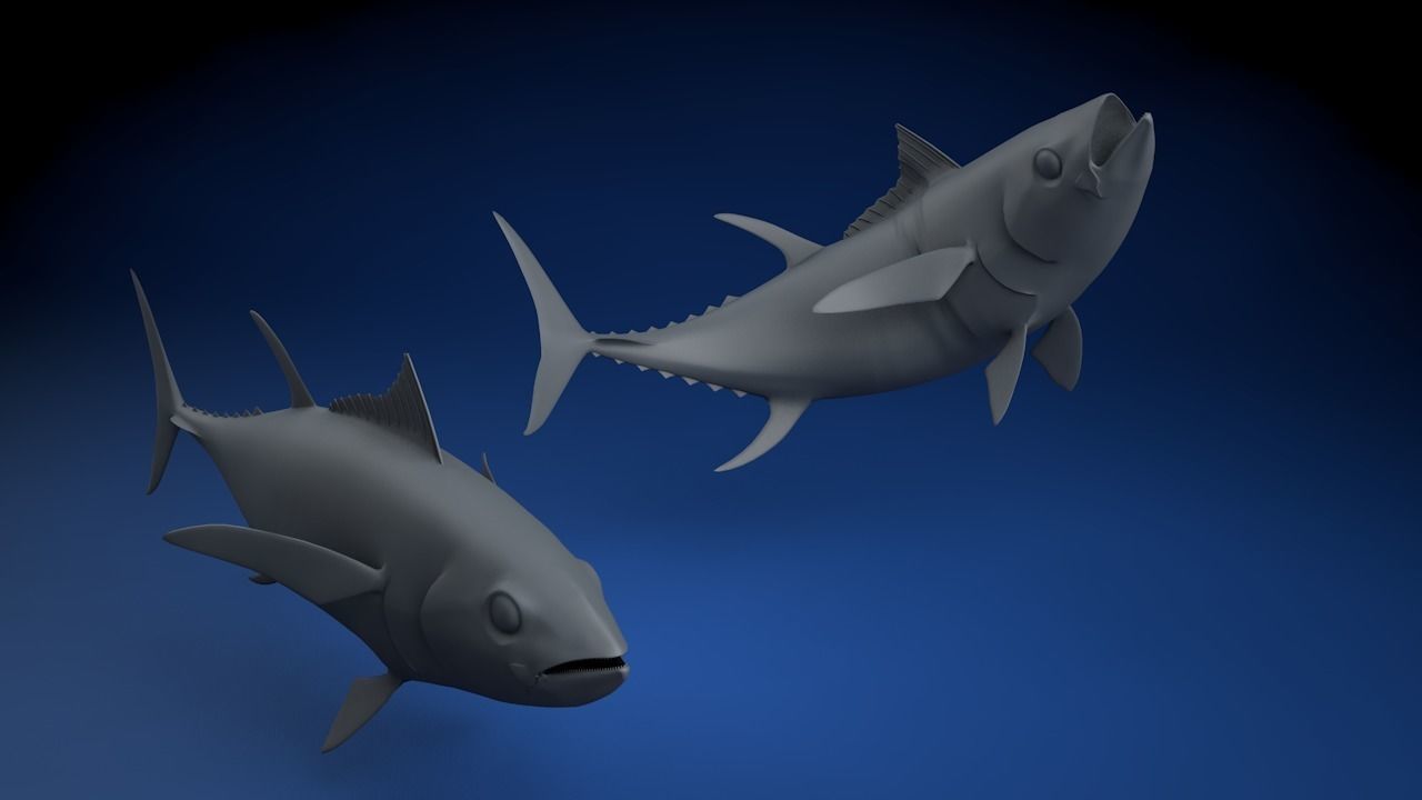 Yellowfin Tuna Fish Low-poly 3D model_5