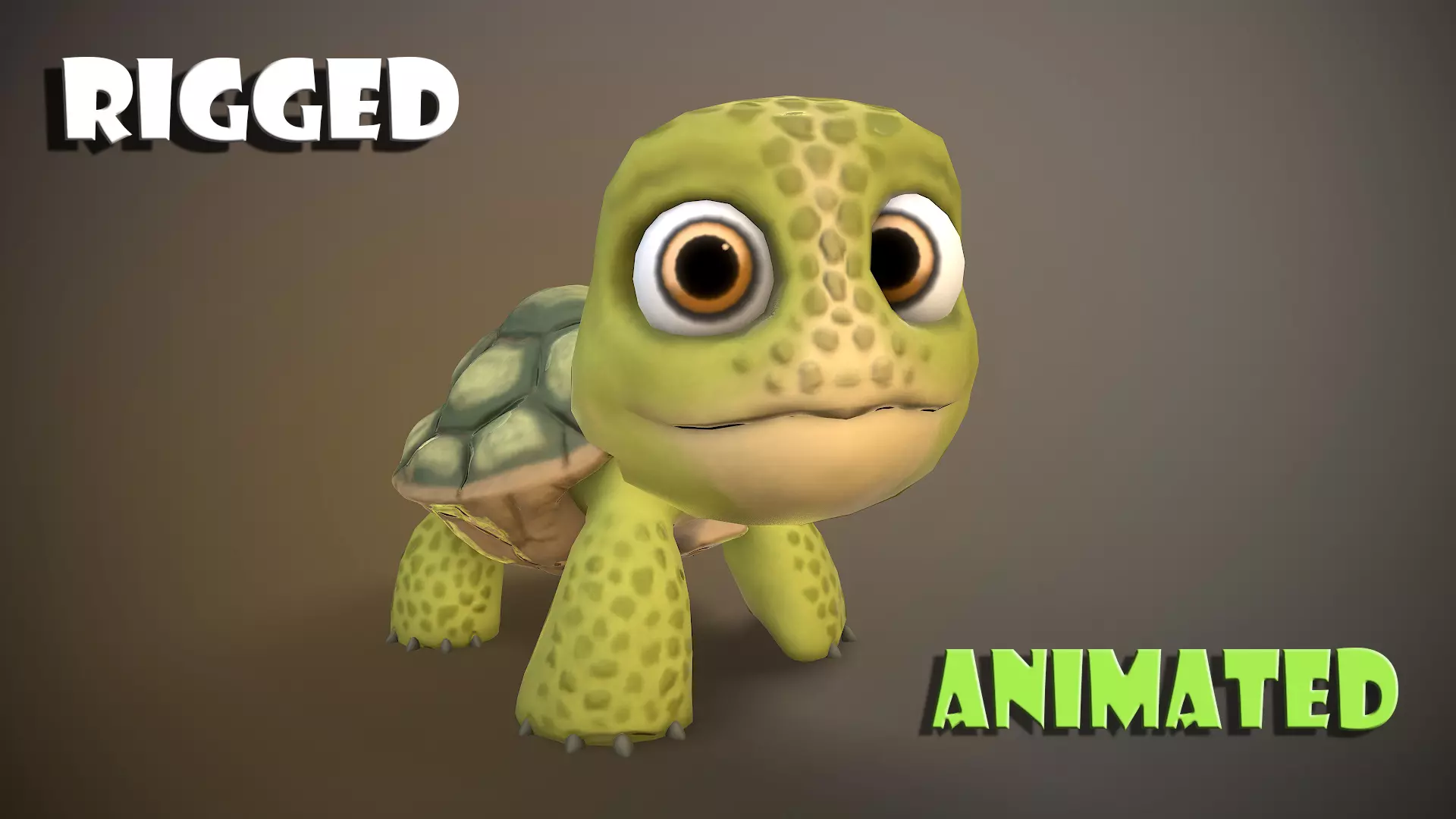 cartoon turtle Low-poly 3D model_0