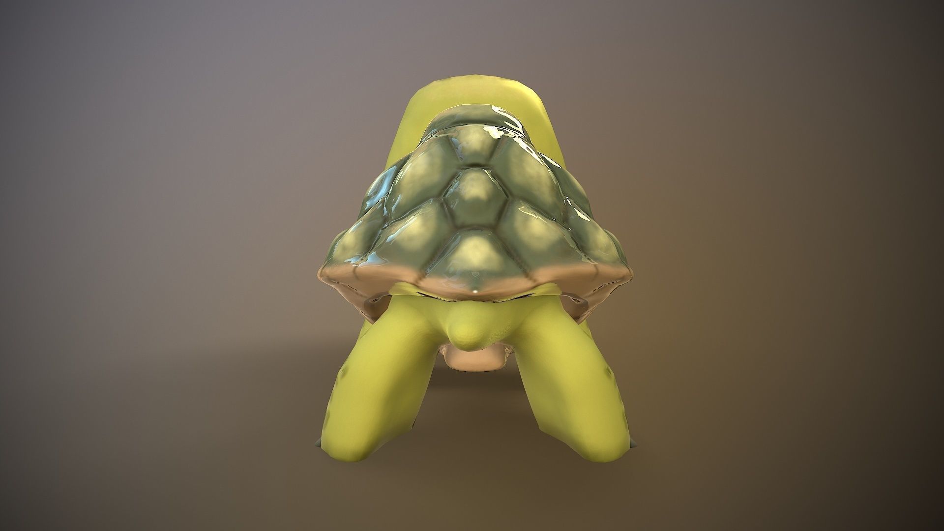 cartoon turtle Low-poly 3D model_6
