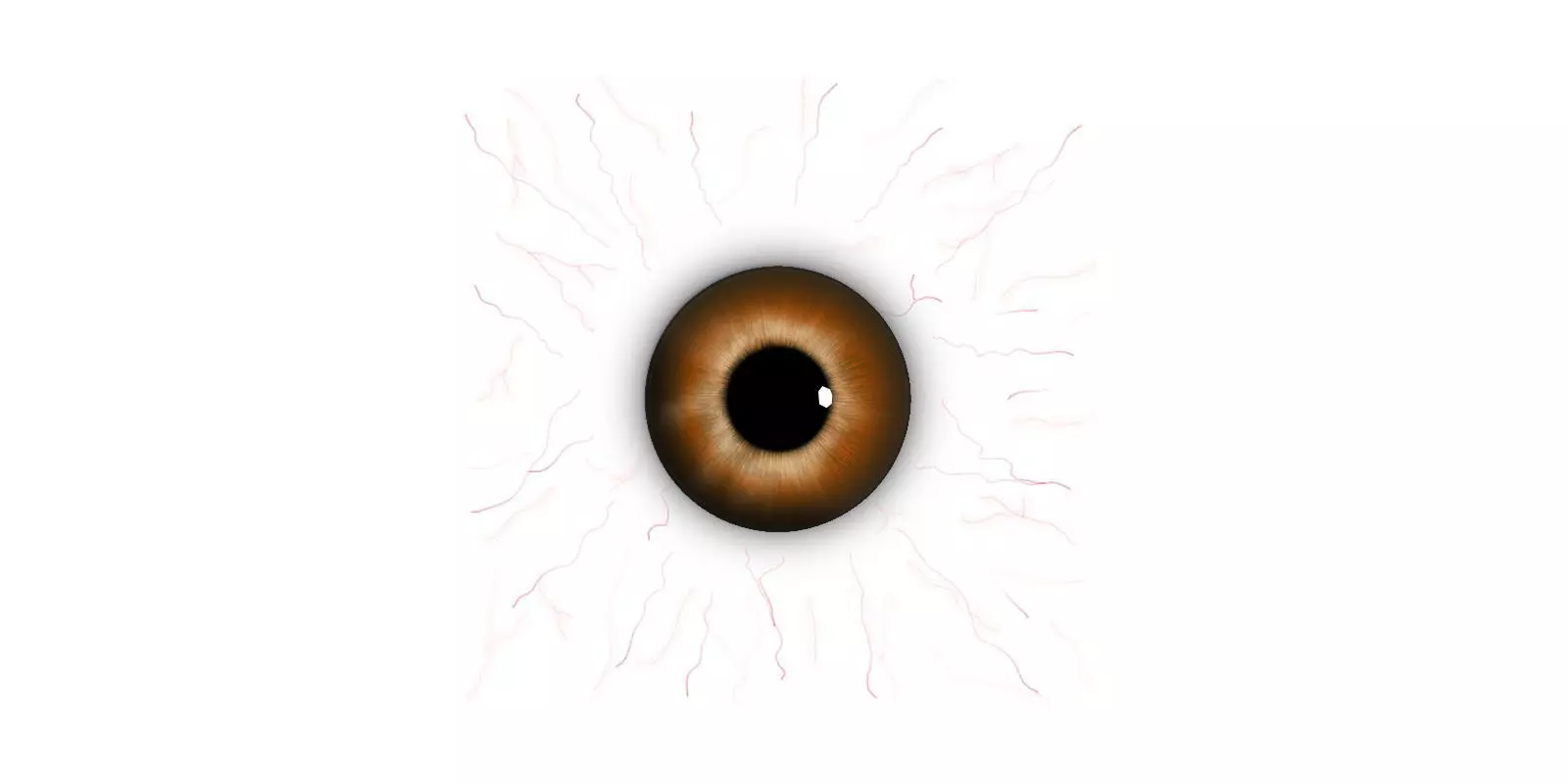 Eye Model Free low-poly 3D model_0