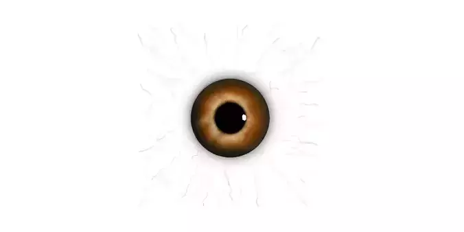 Eye Model Free low-poly 3D model