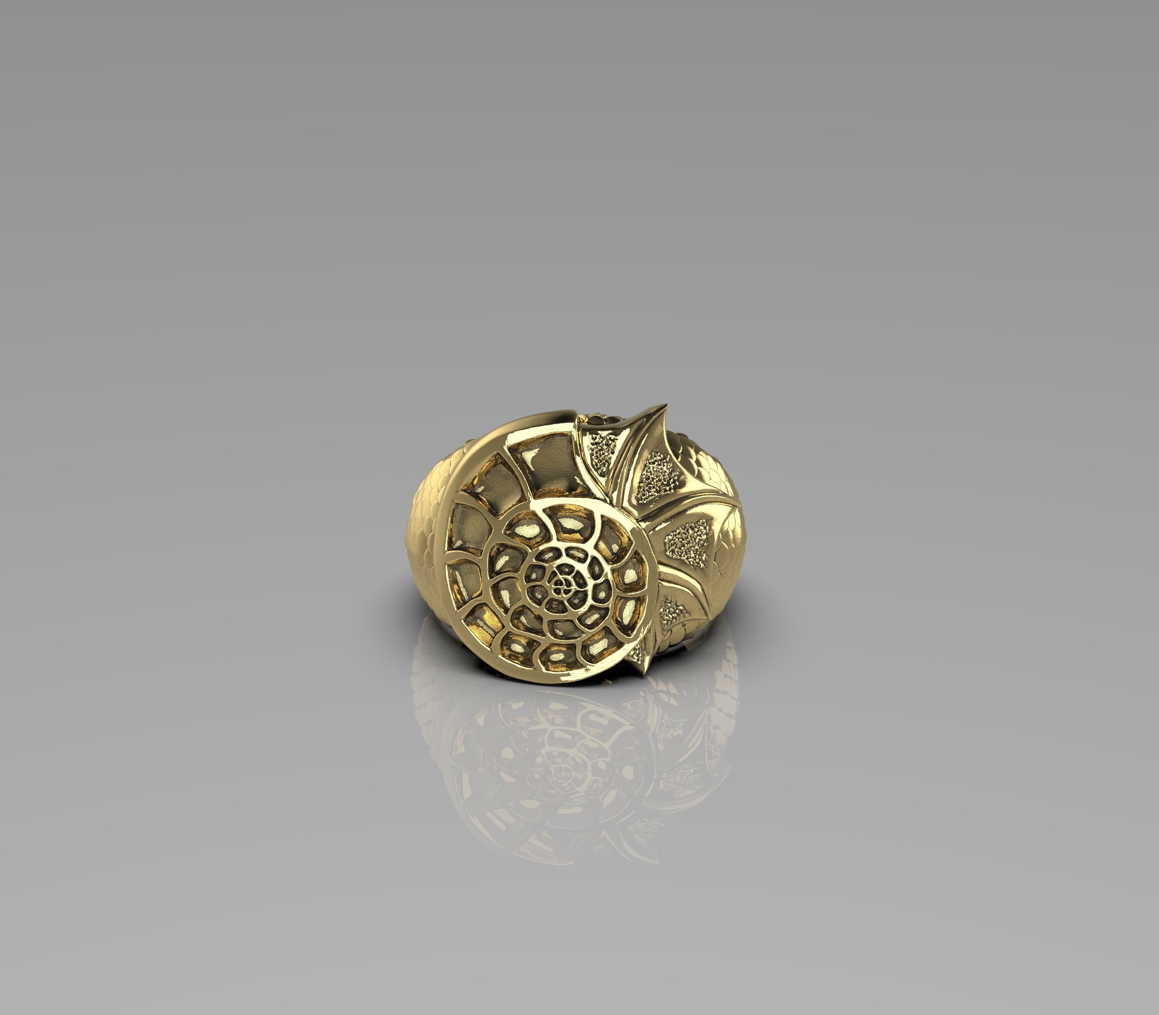 Ring -Aquaman-3D model STL-file for 3D printing-Shell with skale 3D print model_3