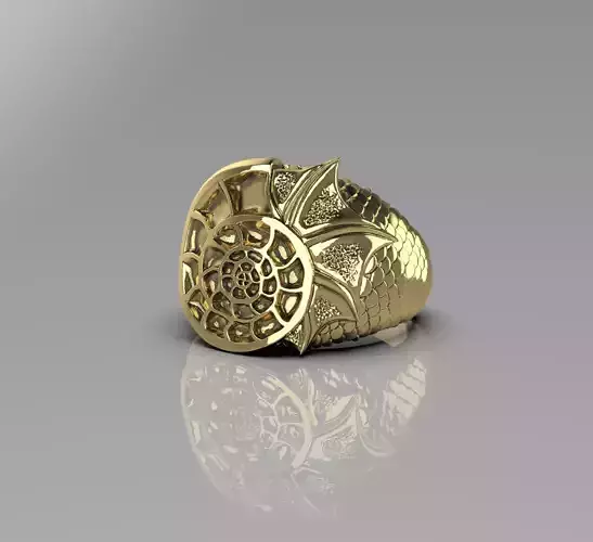 Ring -Aquaman-3D model STL-file for 3D printing-Shell with skale 3D print model