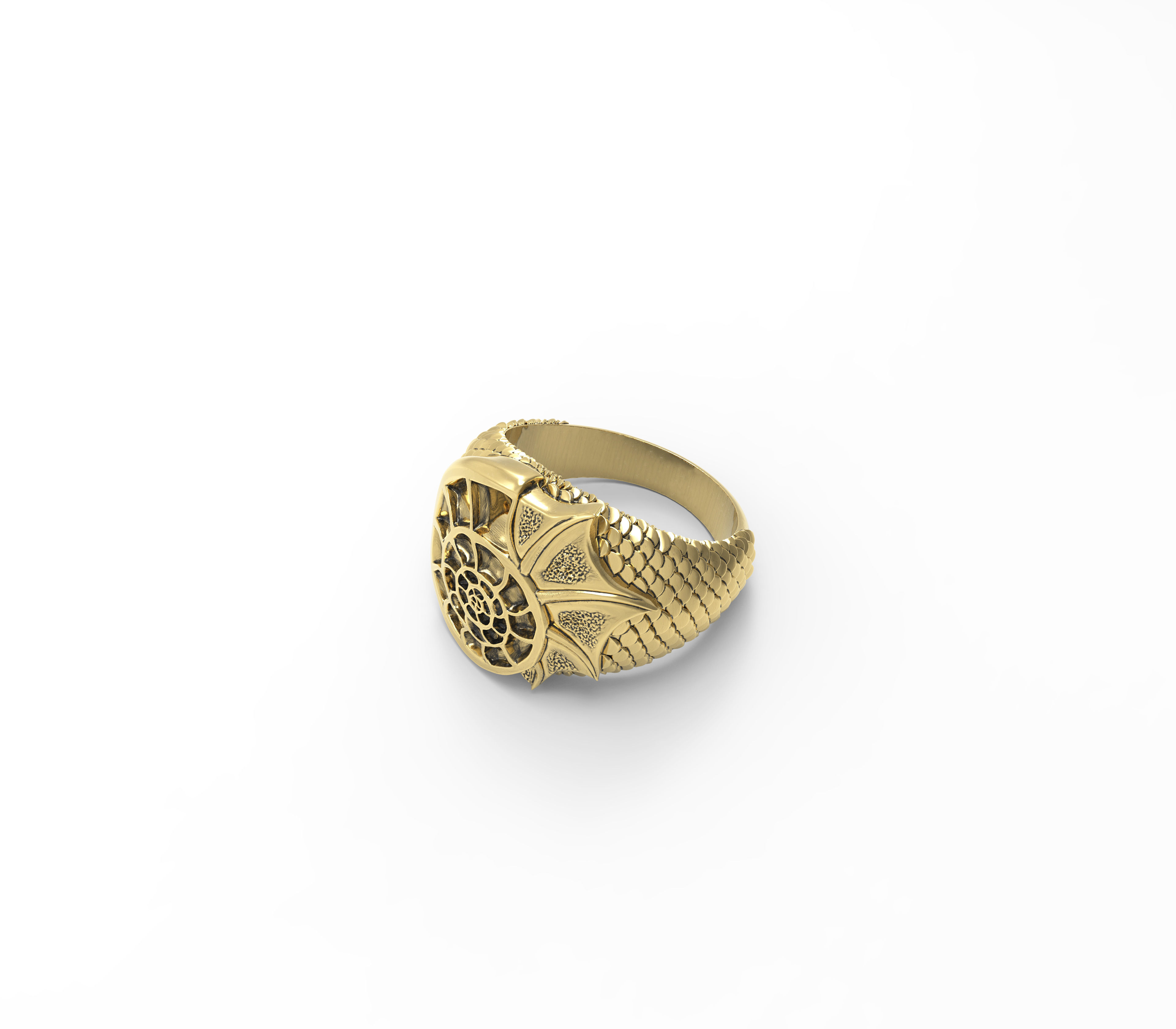 Ring -Aquaman-3D model STL-file for 3D printing-Shell with skale 3D print model_4