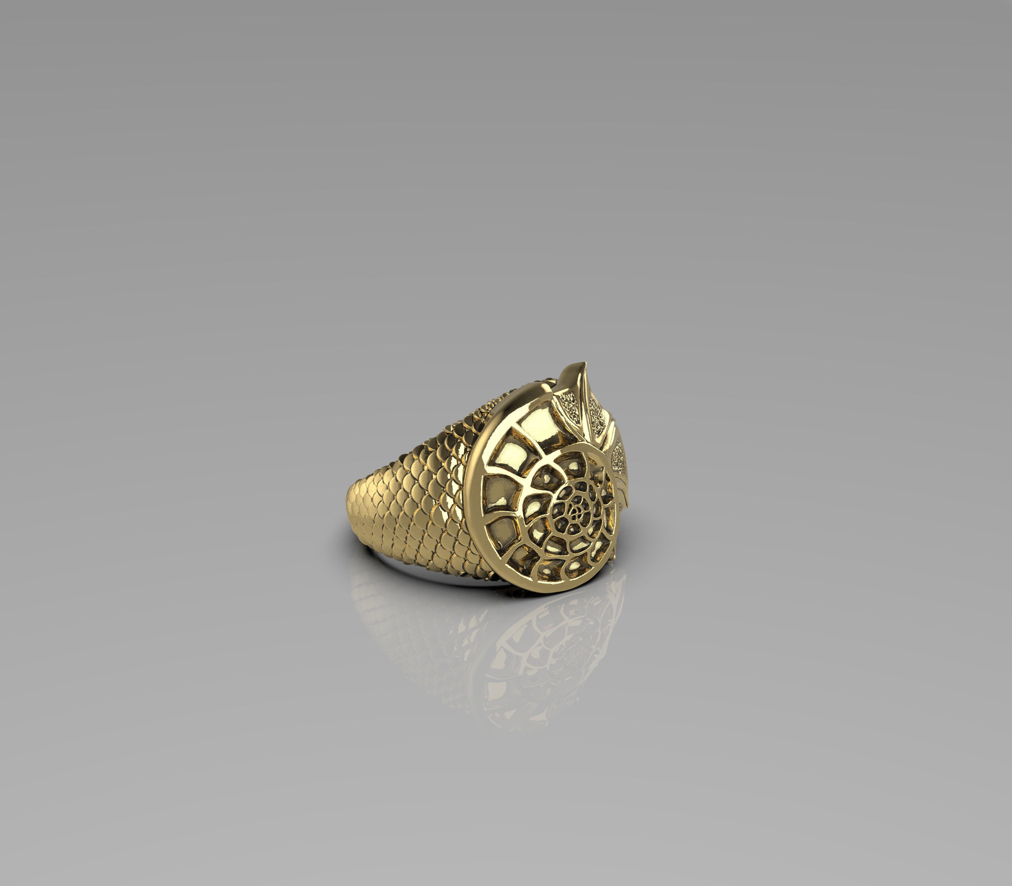 Ring -Aquaman-3D model STL-file for 3D printing-Shell with skale 3D print model_2