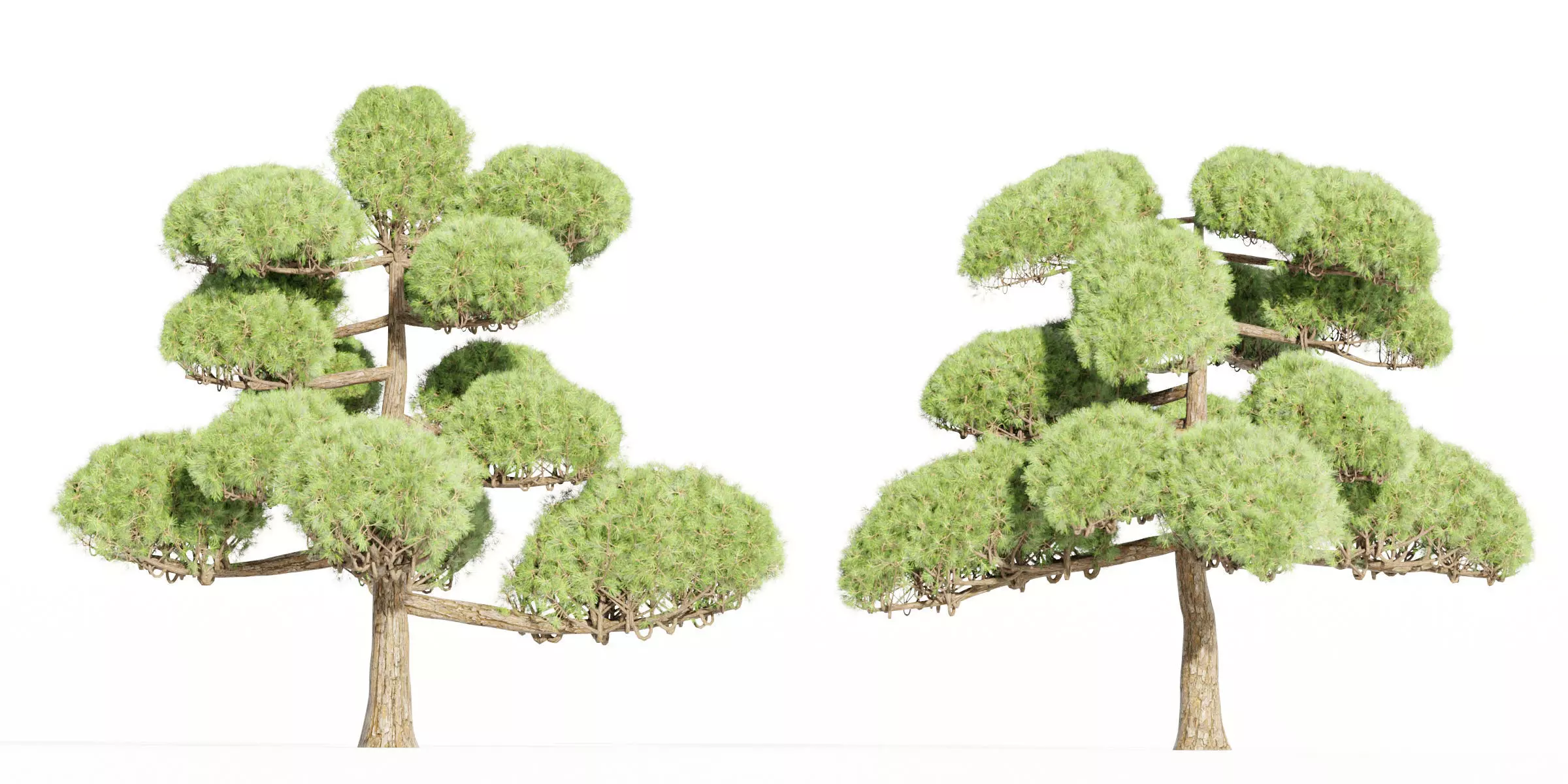 Niwaki trees for garden vol 151-Blender 3D model