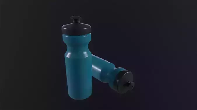 Sport Water Bottle 3D Model