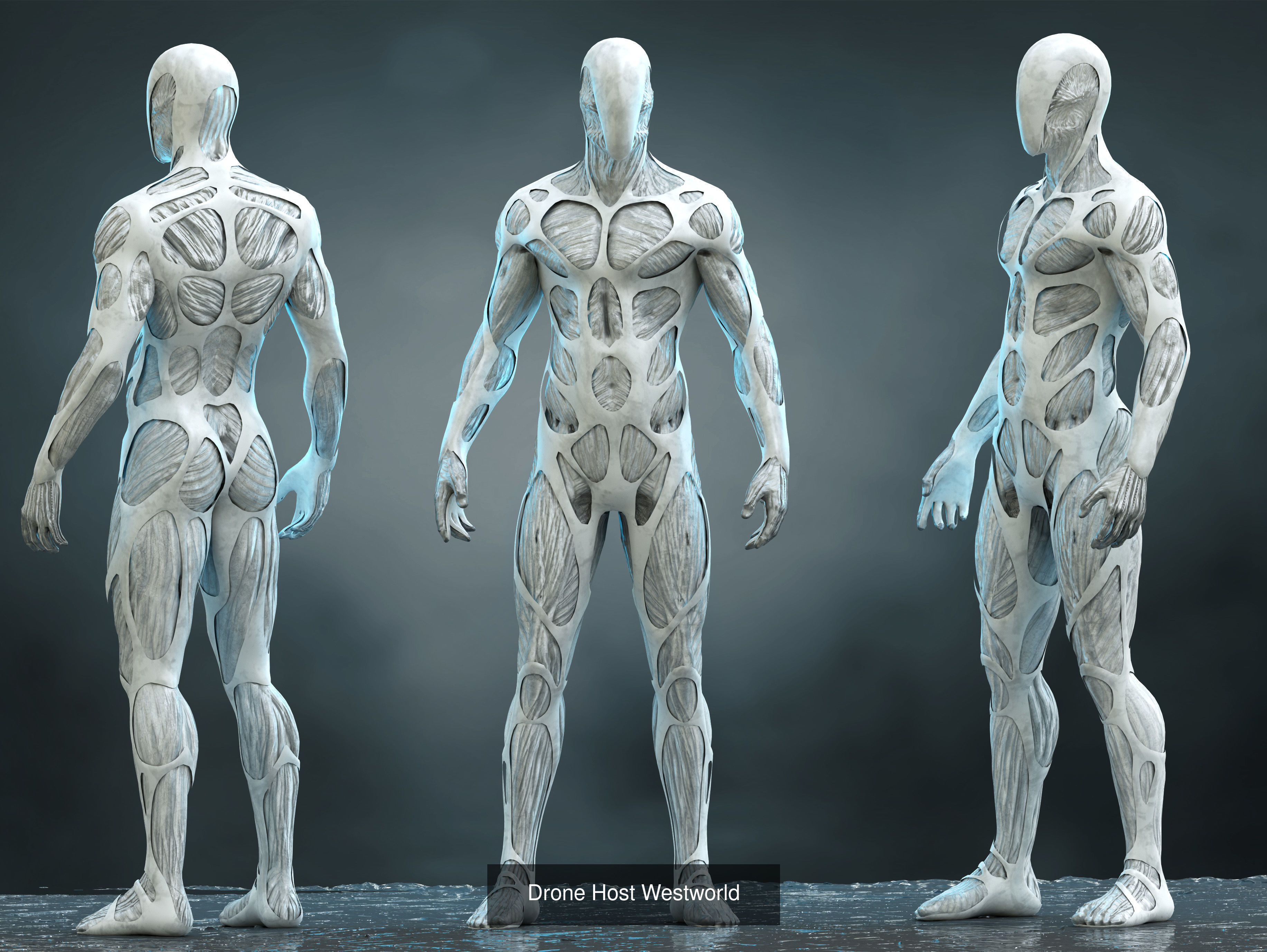 Robots pack 3D Model Collection_6