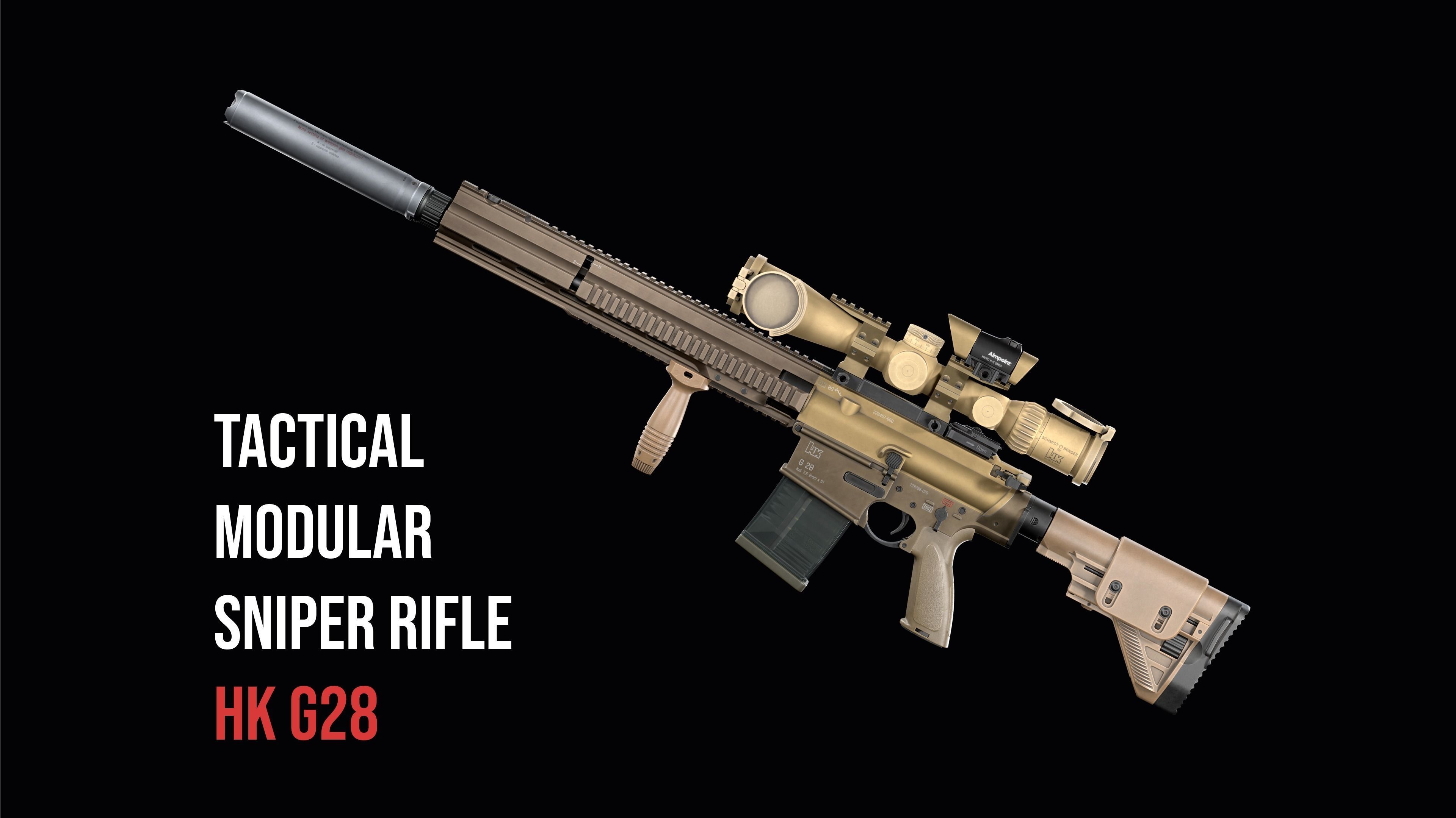 Assault rifles SMG Sniper Rifles DMR  BIG weapon gun pack 3D Model Collection_43