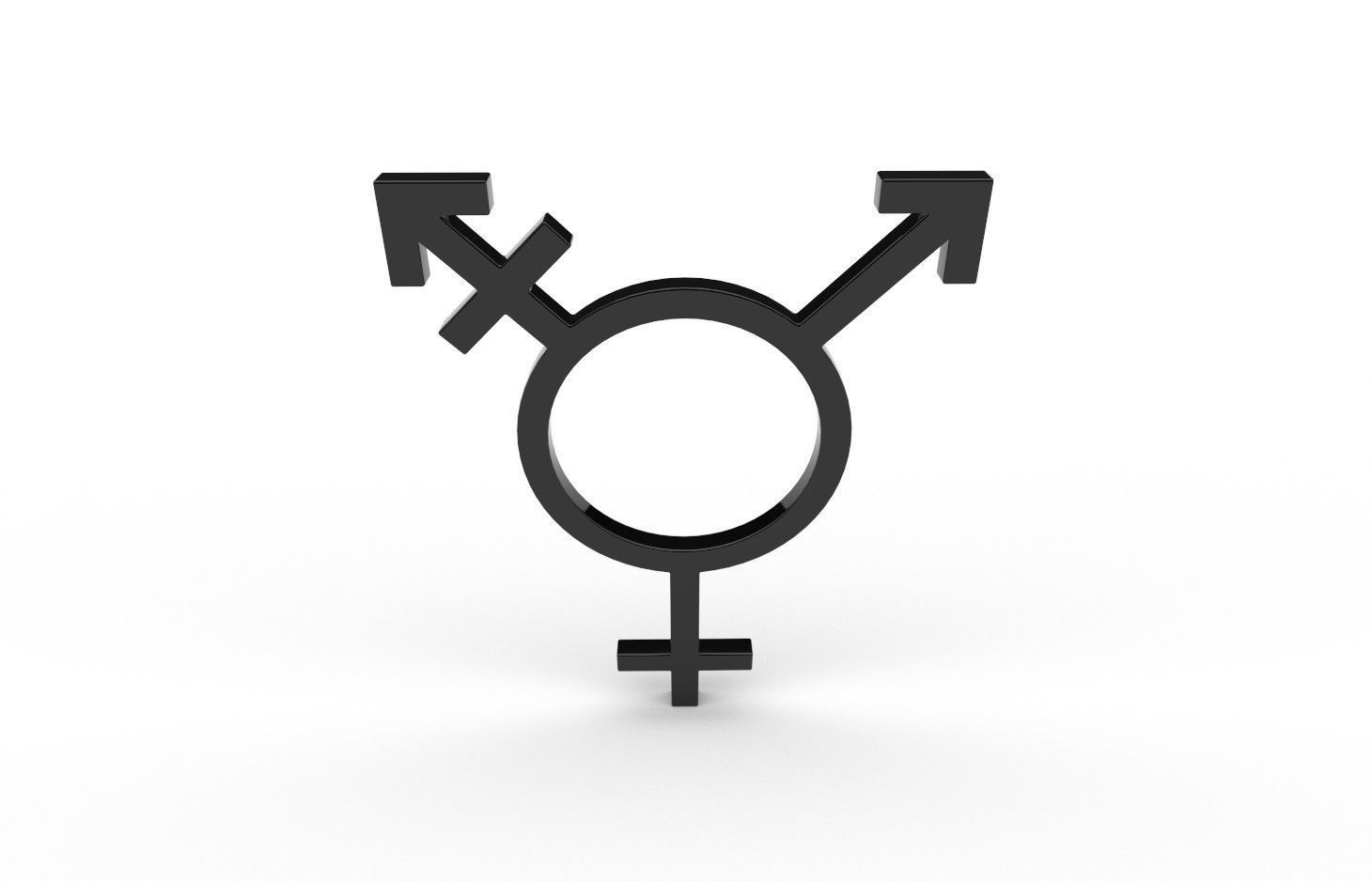 Gender Symbols -Transgender2 Low-poly 3D model_3