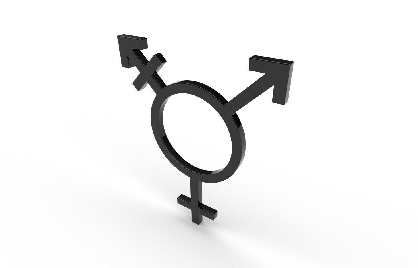 Gender Symbols -Transgender2 Low-poly 3D model_2