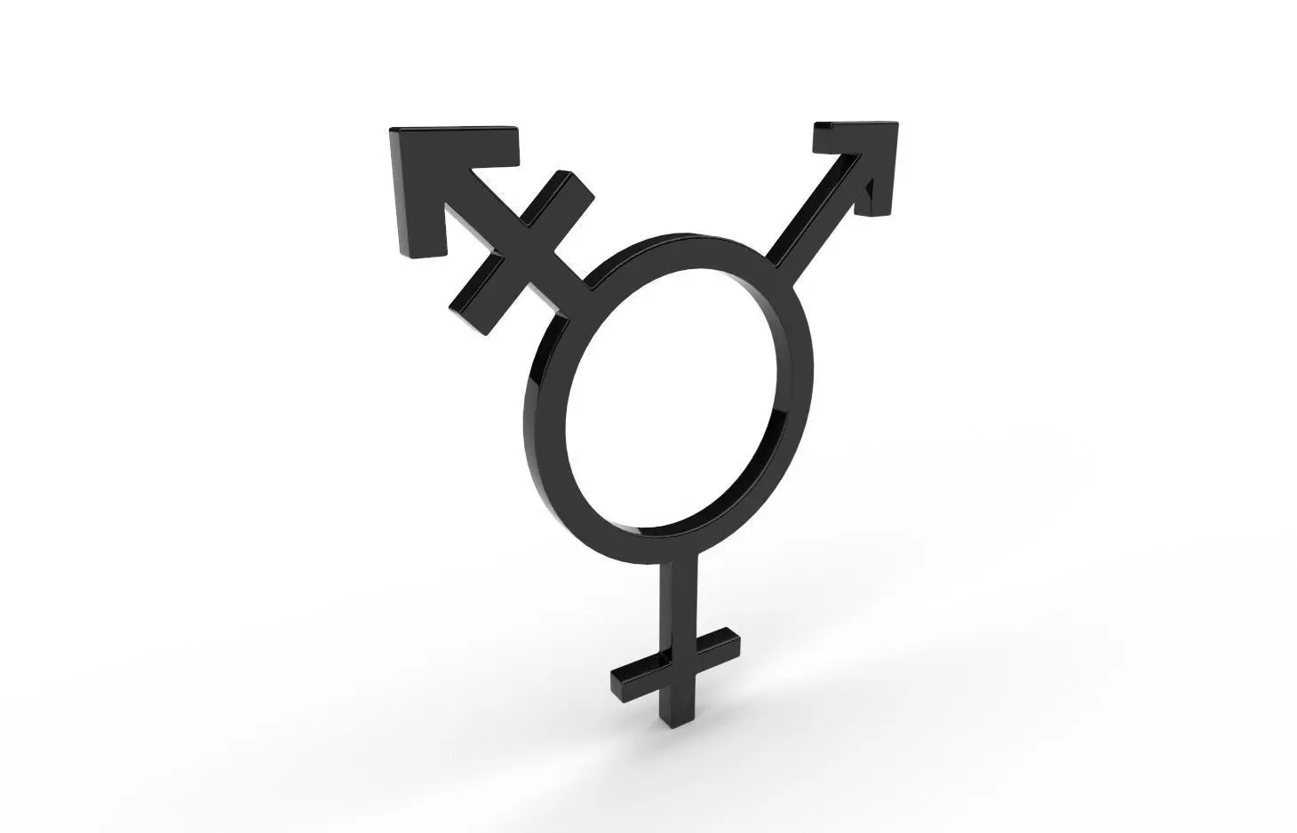 Gender Symbols -Transgender2 Low-poly 3D model_0
