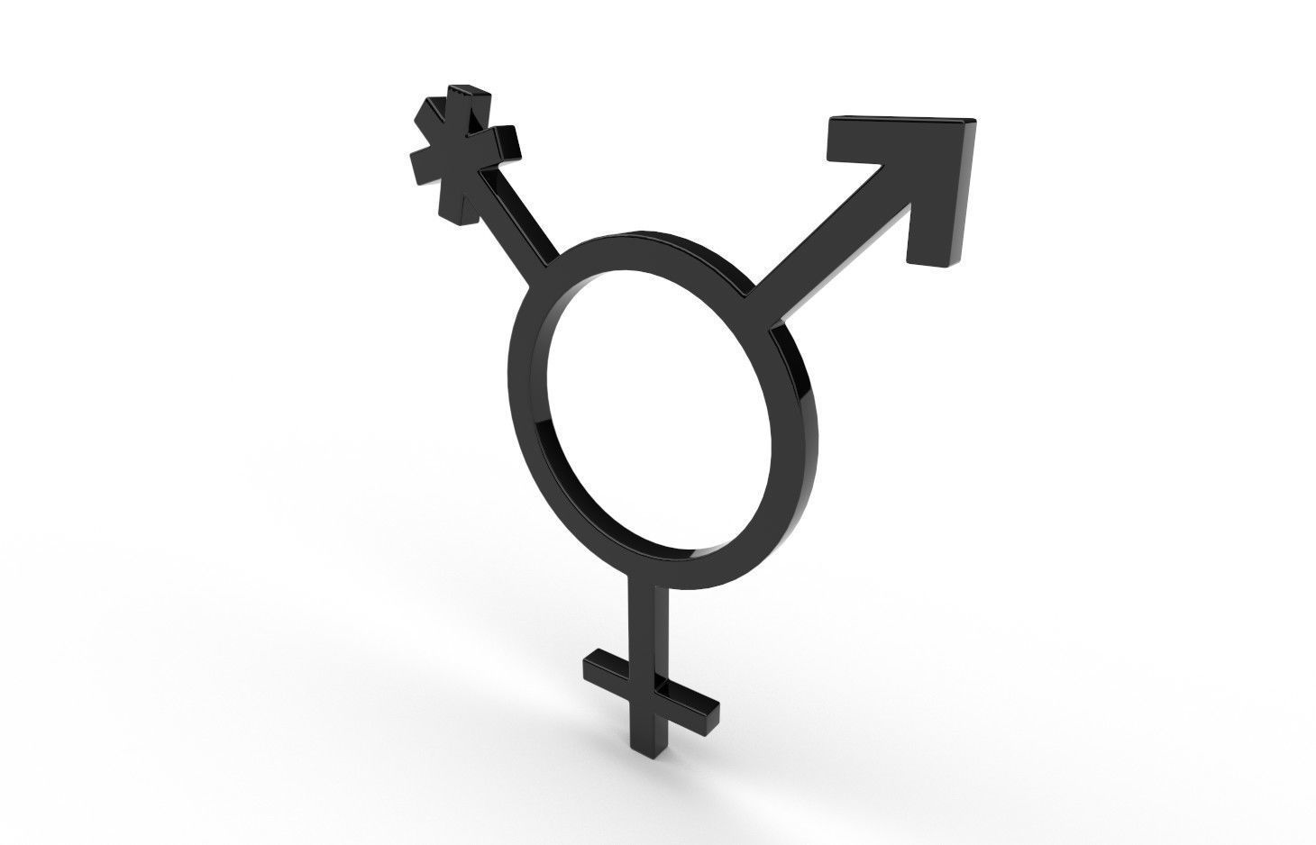 Gender Symbols -Transgender Low-poly 3D model_3