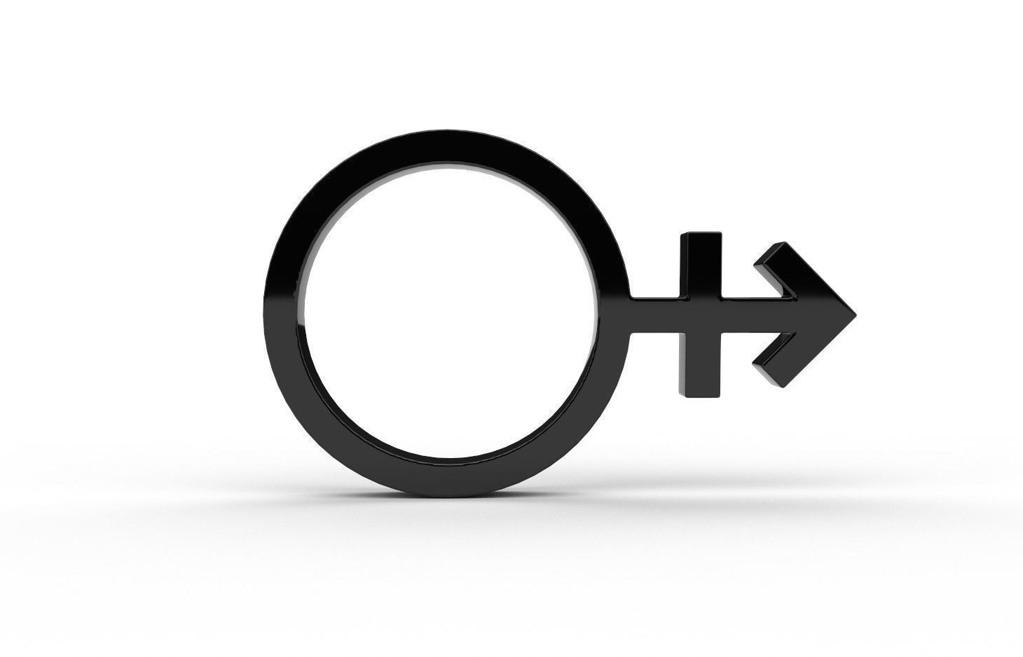 Gender Symbols -OtherGender Low-poly 3D model_3