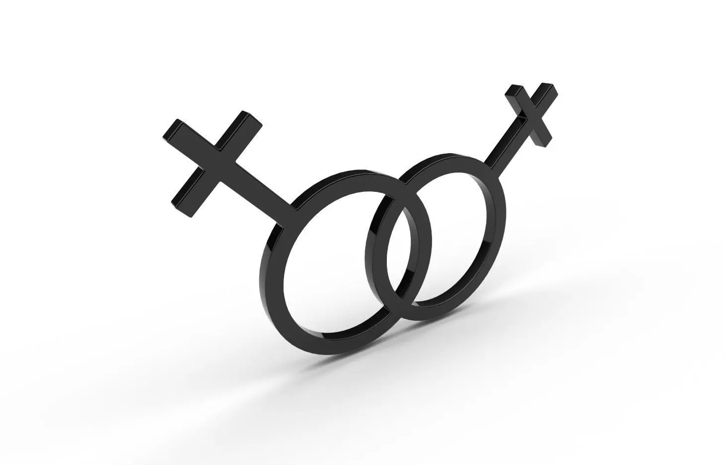 Gender Symbols -Lesbian3 Low-poly 3D model_0