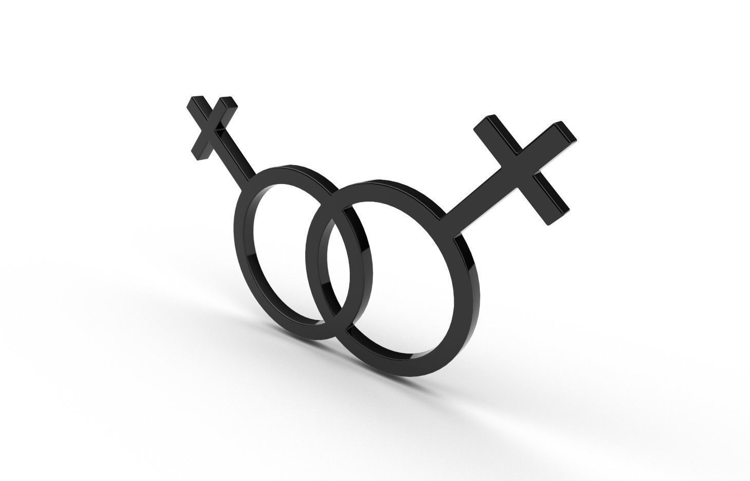 Gender Symbols -Lesbian3 Low-poly 3D model_2