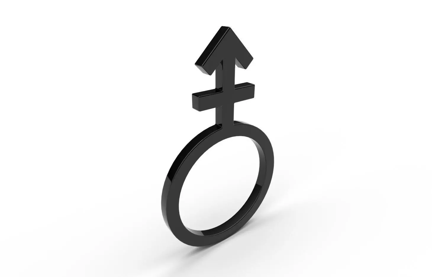Gender Symbols -Androgyne Low-poly 3D model_0