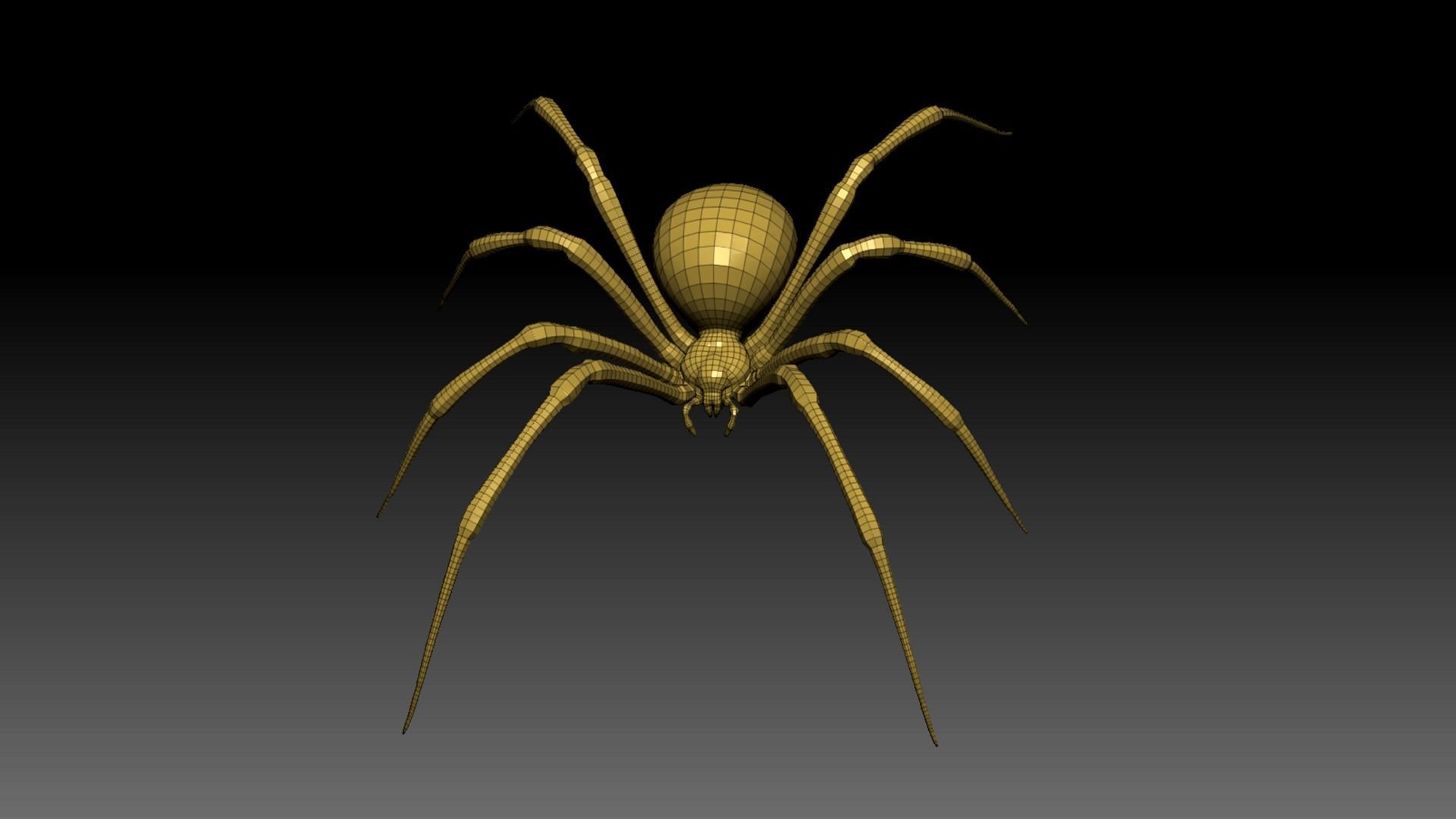 Black Widow Spider Low-poly 3D model_10