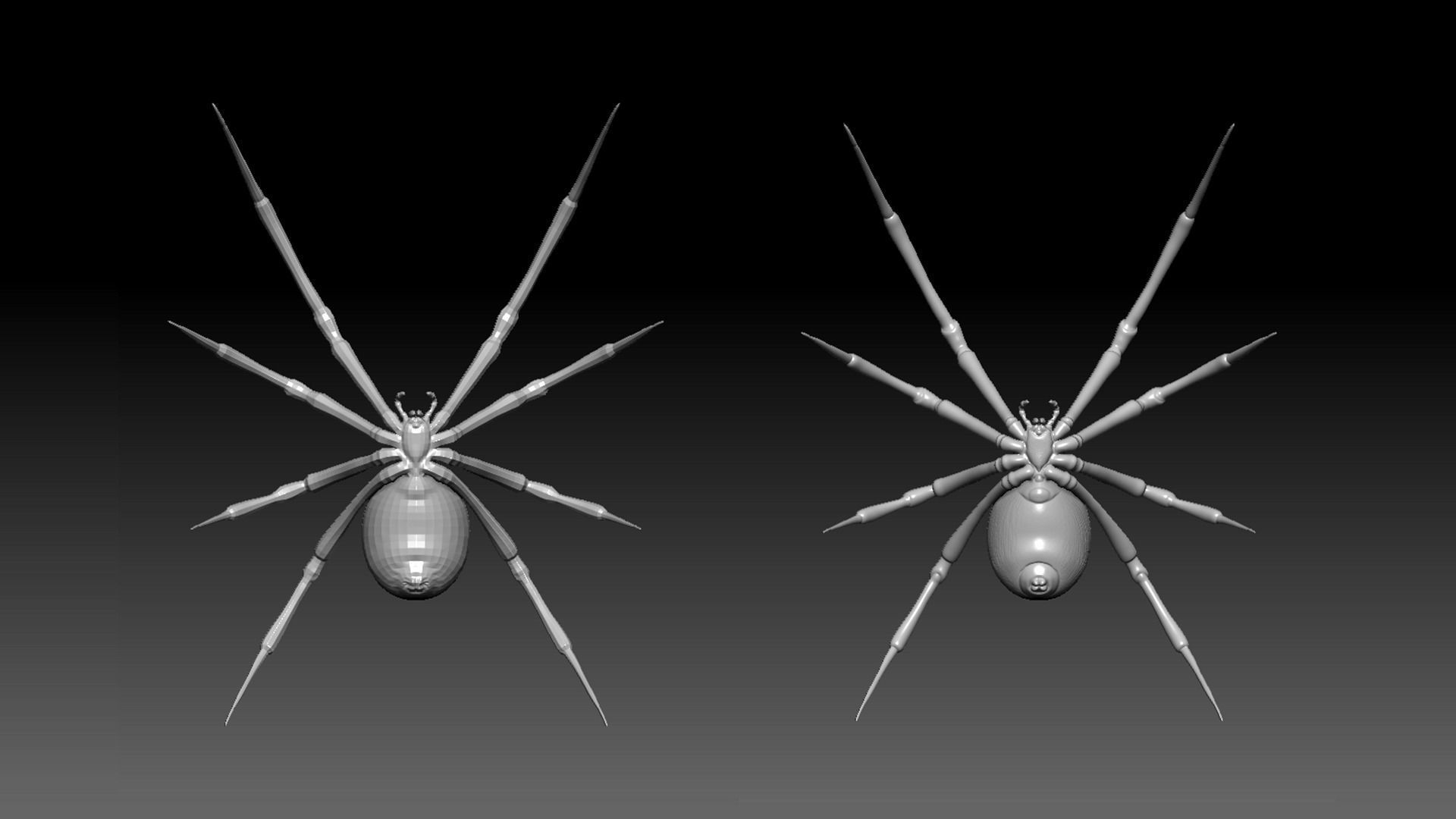 Black Widow Spider Low-poly 3D model_3