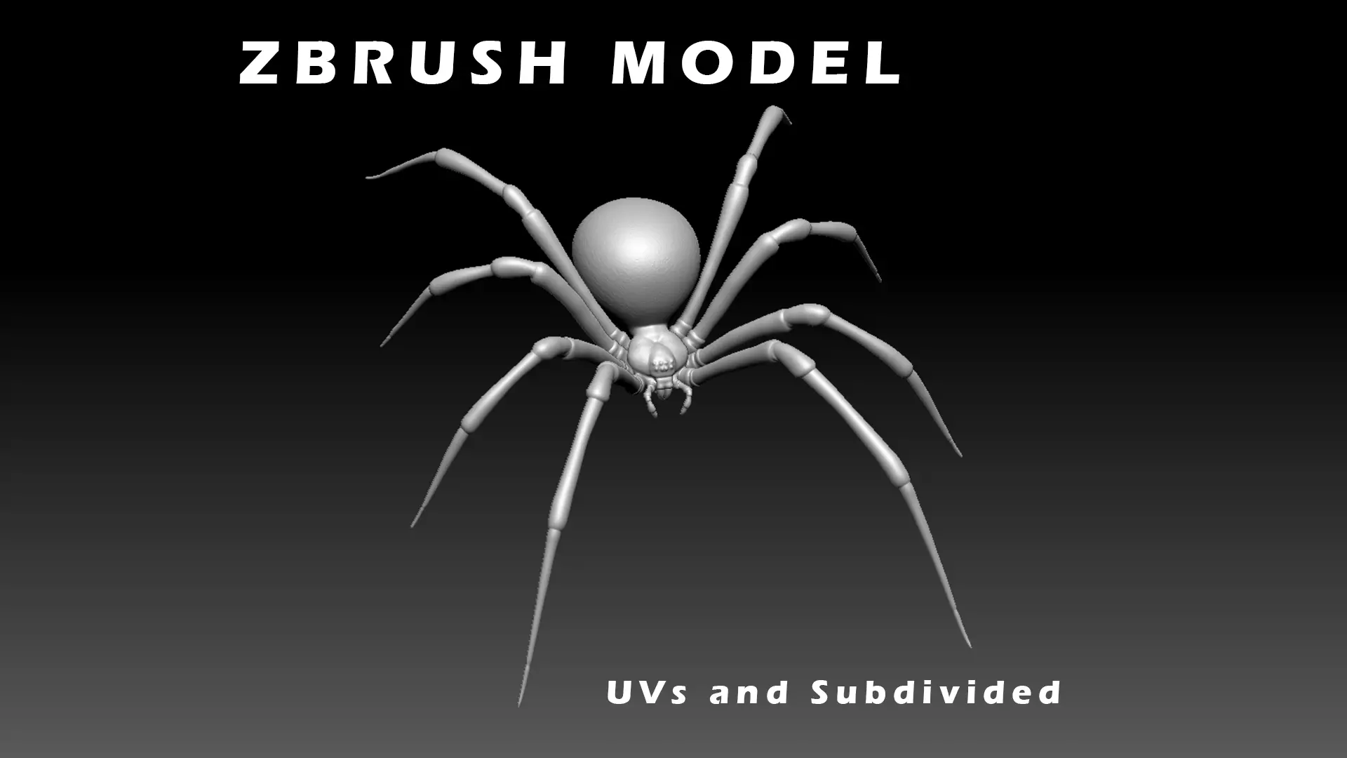 Black Widow Spider Low-poly 3D model_0