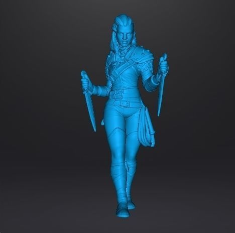FEMALE THIEF ASSASSIN MINIATURE MODEL FOR FANTASY GAMES DND RPG 3D print model_6