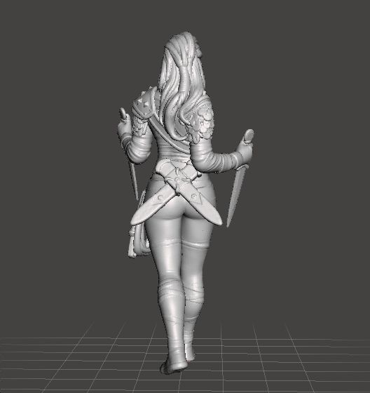 FEMALE THIEF ASSASSIN MINIATURE MODEL FOR FANTASY GAMES DND RPG 3D print model_2