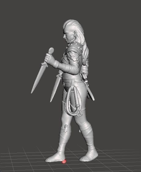 FEMALE THIEF ASSASSIN MINIATURE MODEL FOR FANTASY GAMES DND RPG 3D print model_1