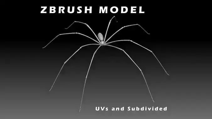 Daddy Long Legs Low-poly 3D model