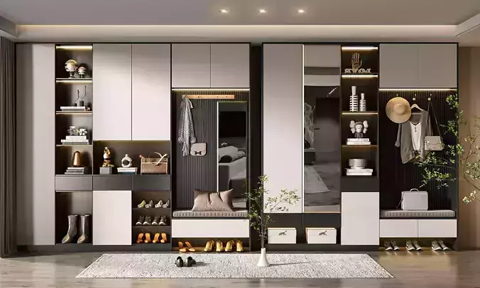 Modern combination cabinet shoe