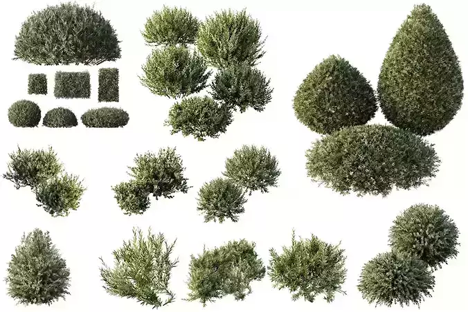 6 Different SETS of Bush SET VOL105 3D Model Collection
