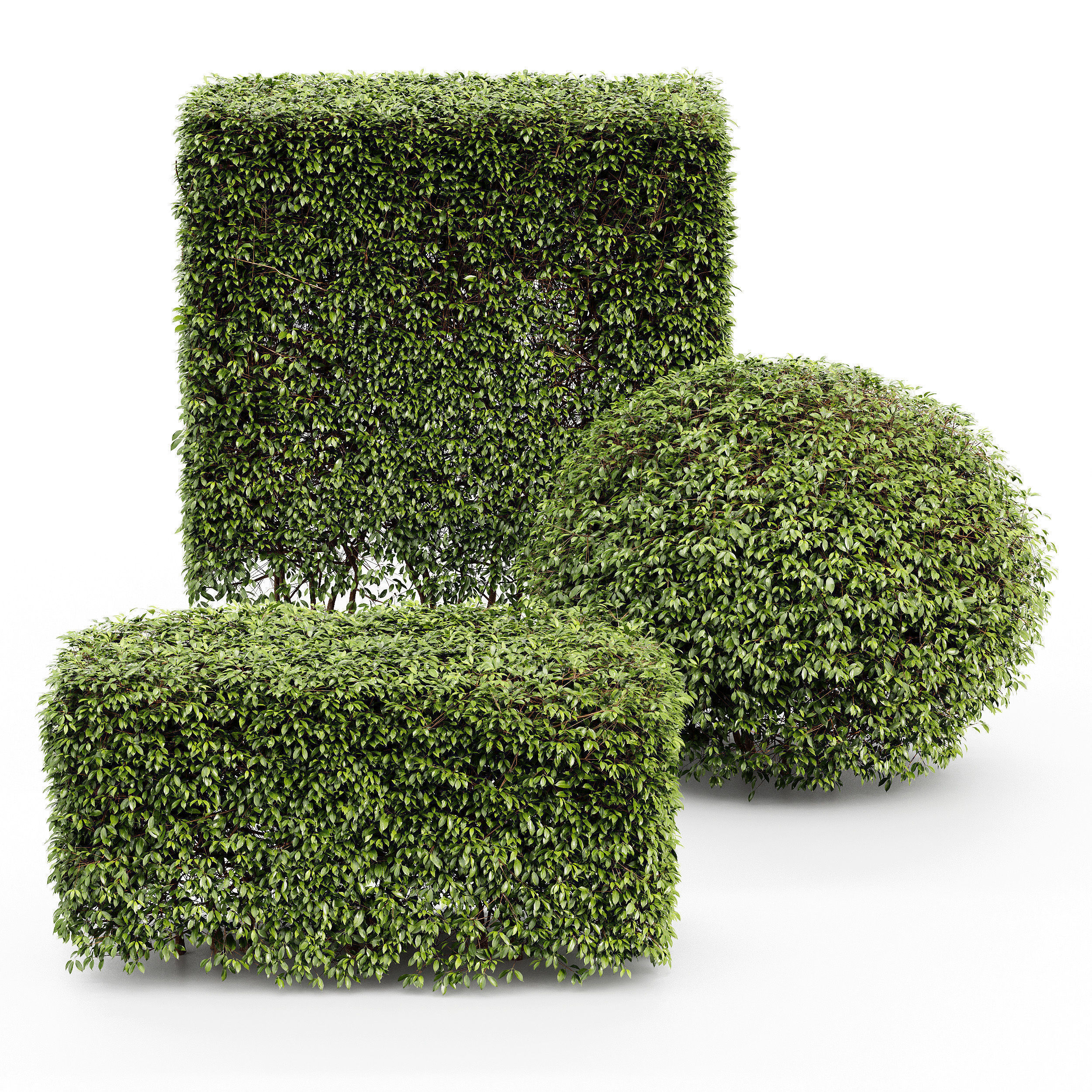 6 Different SETS of Bush SET VOL106 3D Model Collection_22