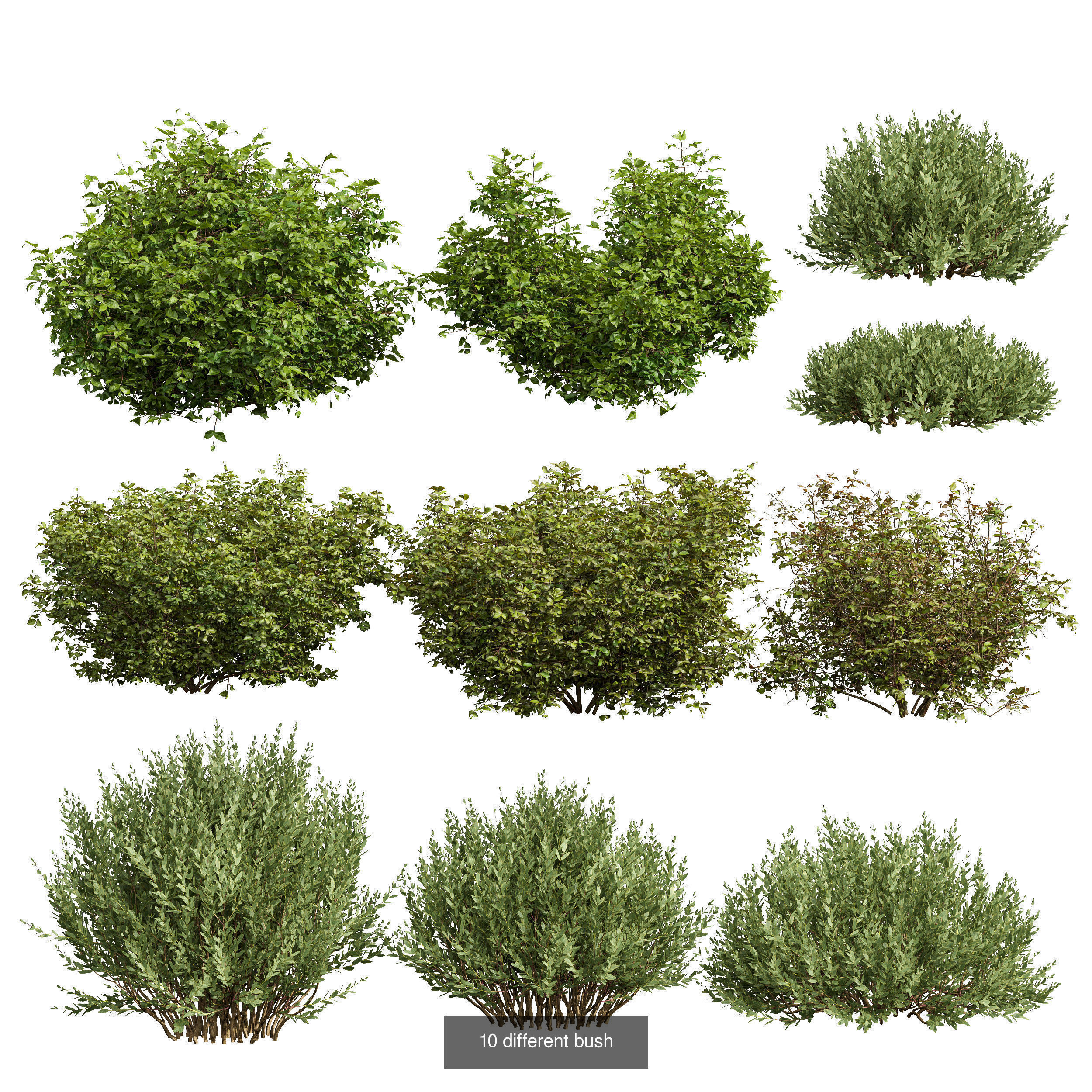 6 Different SETS of Bush SET VOL106 3D Model Collection_3