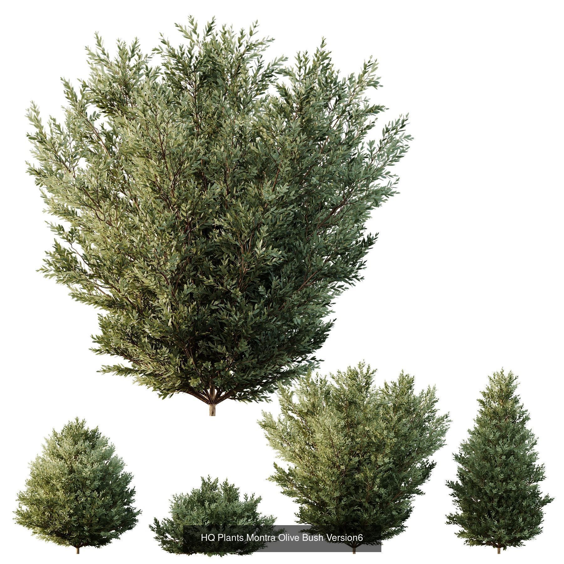 6 Different SETS of Bush SET VOL106 3D Model Collection_6