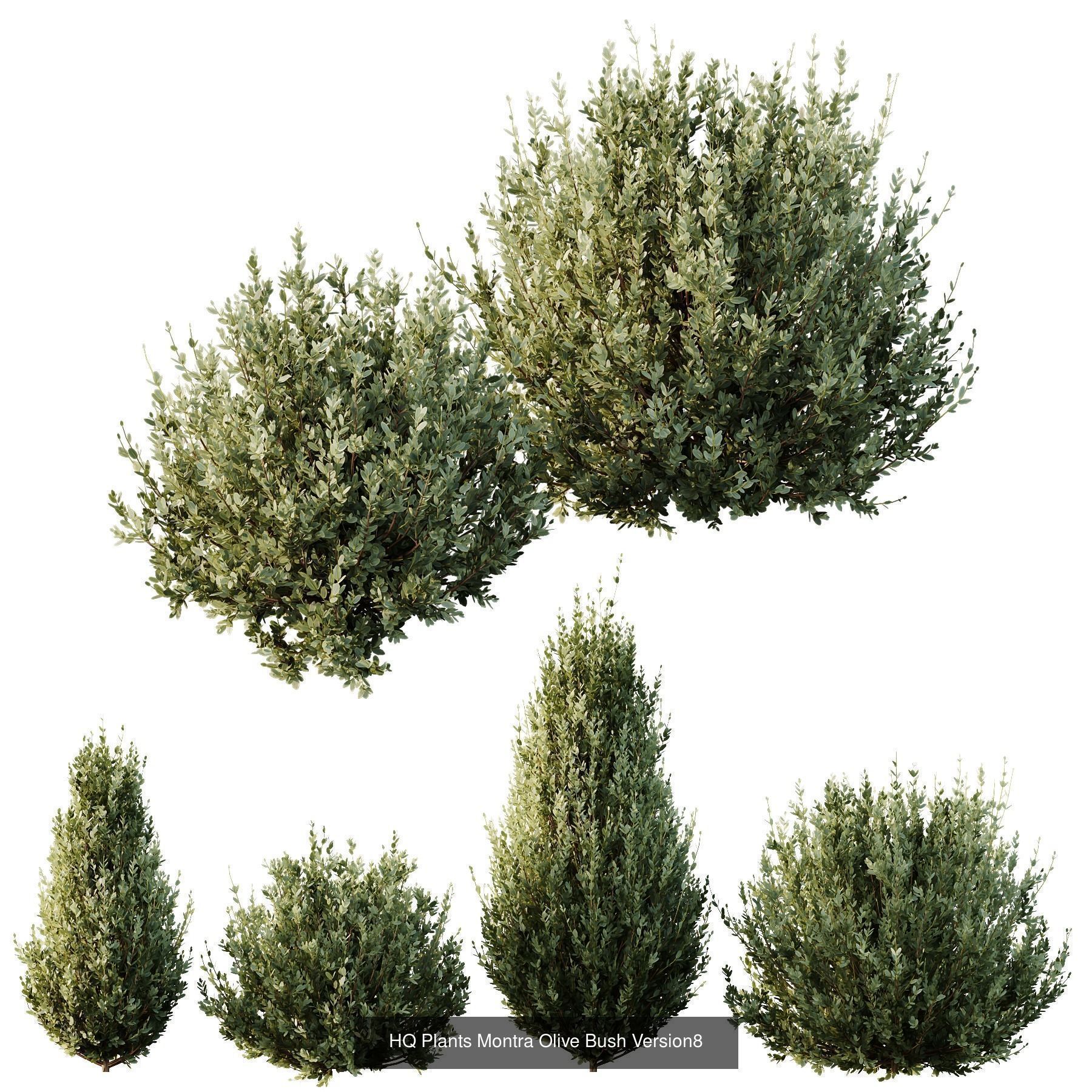 6 Different SETS of Bush SET VOL106 3D Model Collection_5