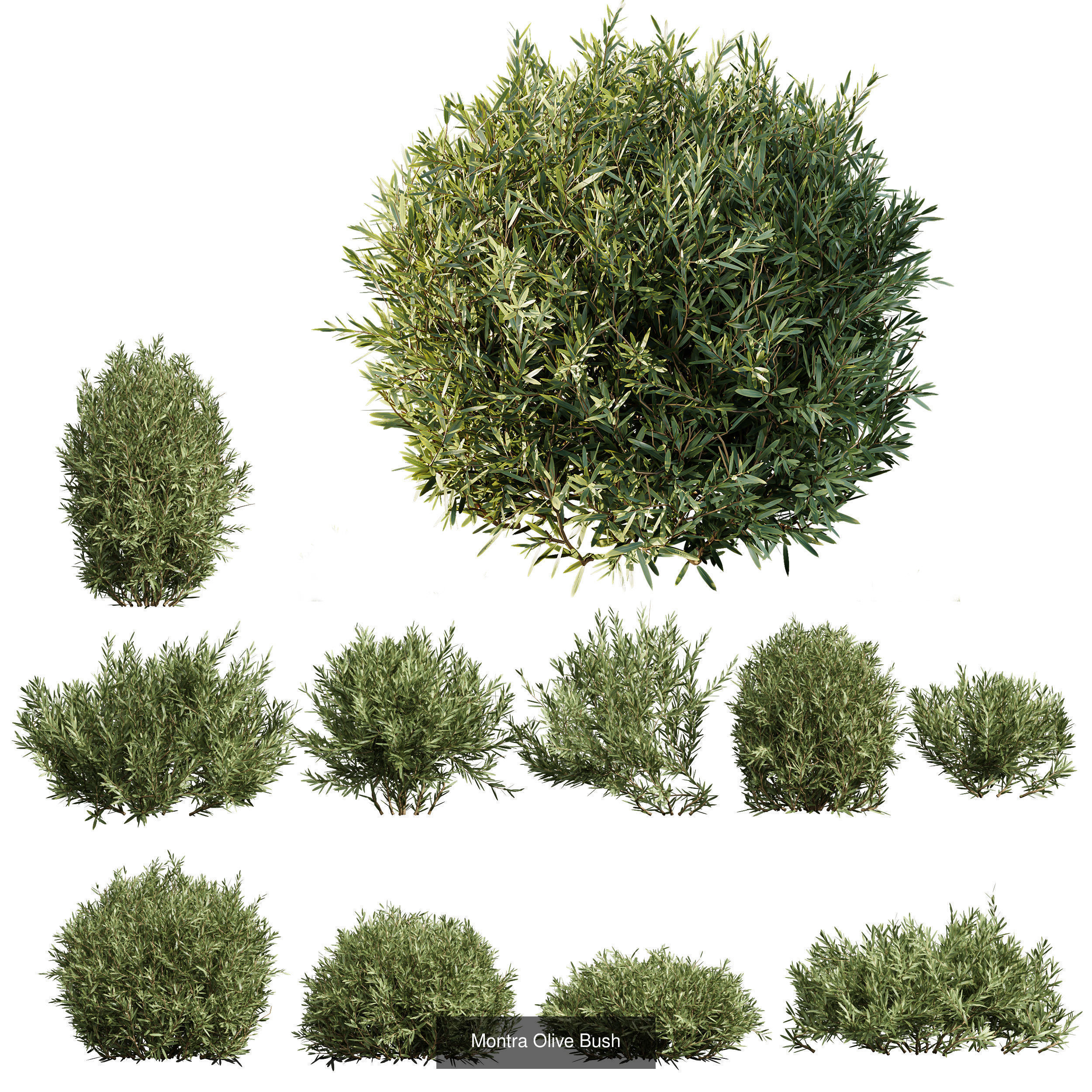 6 Different SETS of Bush SET VOL106 3D Model Collection_2