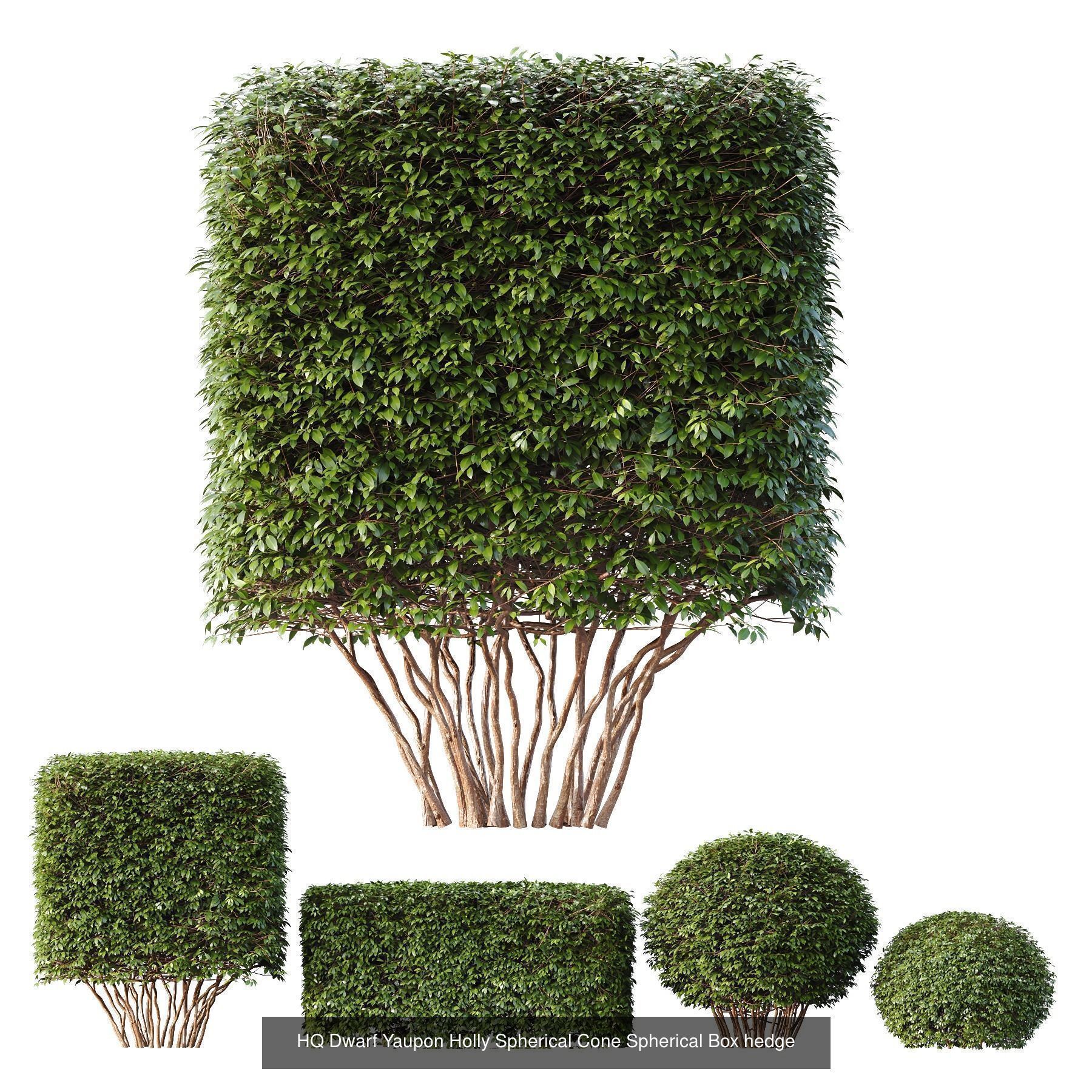 6 Different SETS of Bush SET VOL106 3D Model Collection_4