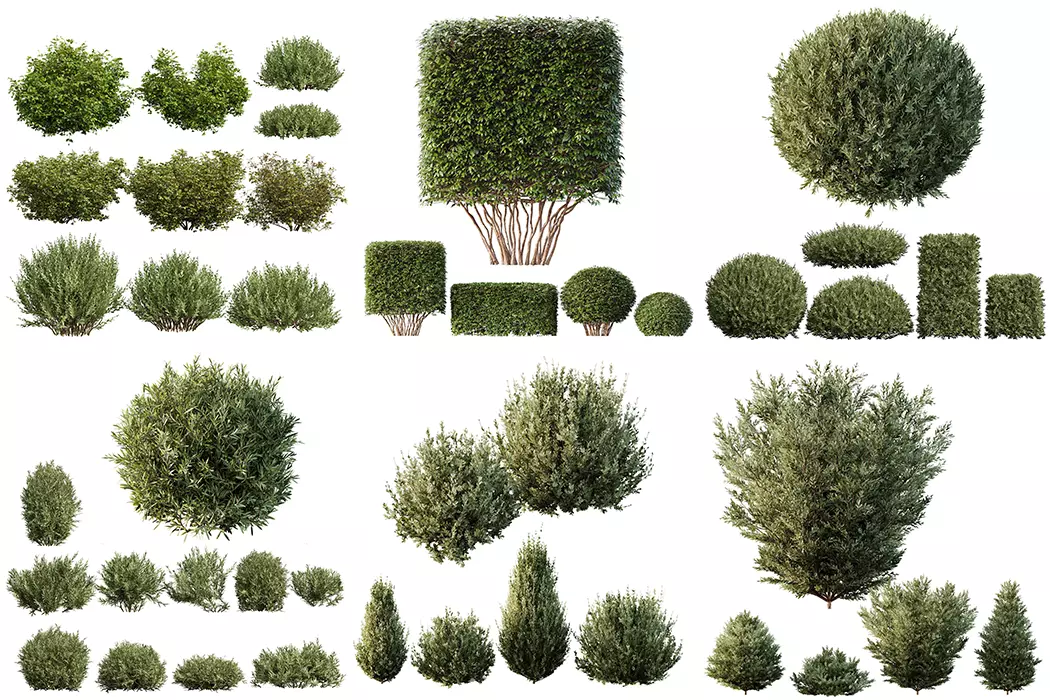 6 Different SETS of Bush SET VOL106 3D Model Collection_0