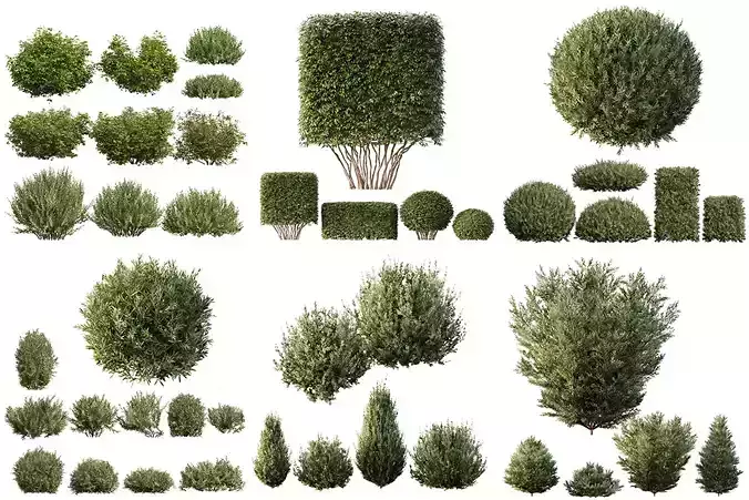 6 Different SETS of Bush SET VOL106 3D Model Collection