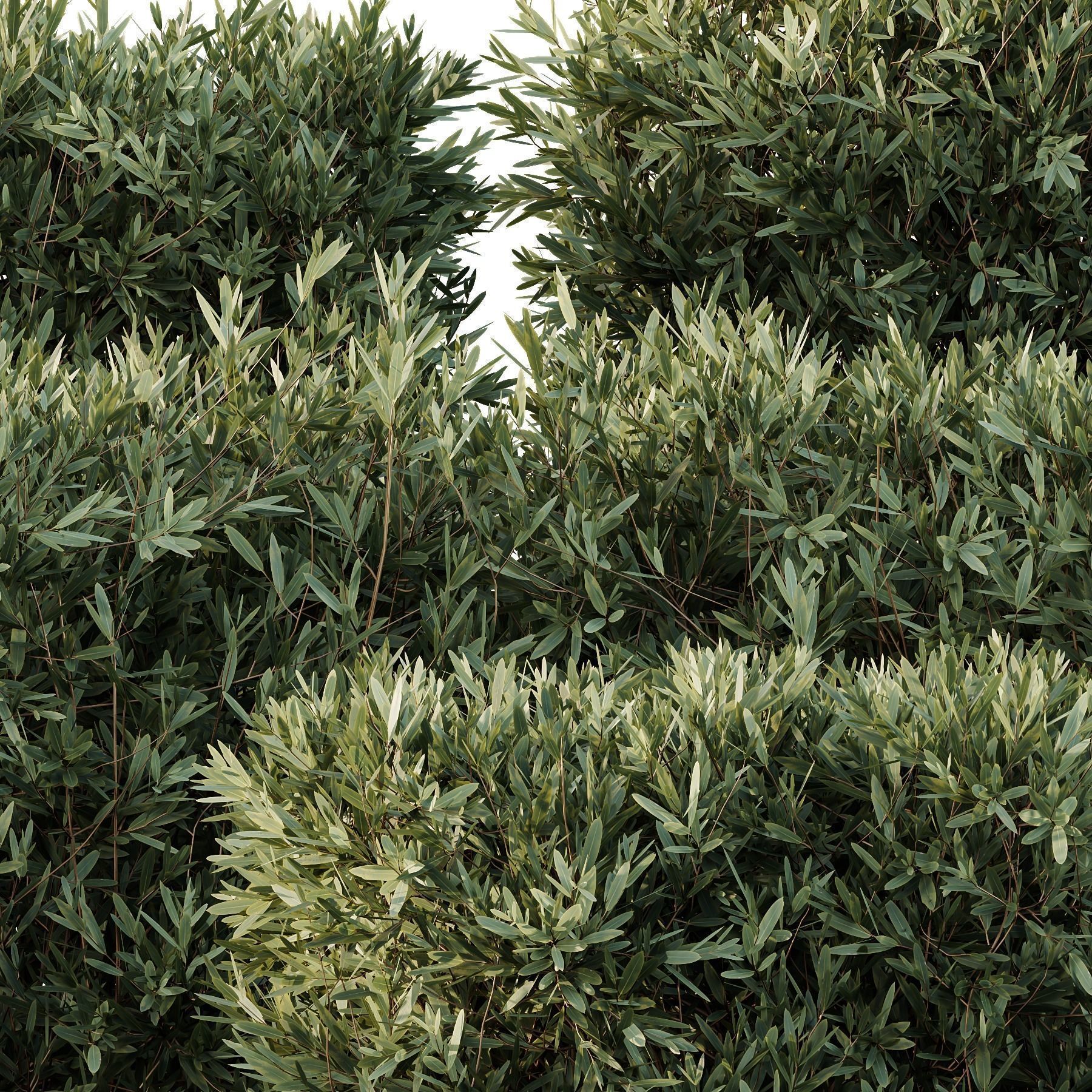 6 Different SETS of Bush SET VOL106 3D Model Collection_26