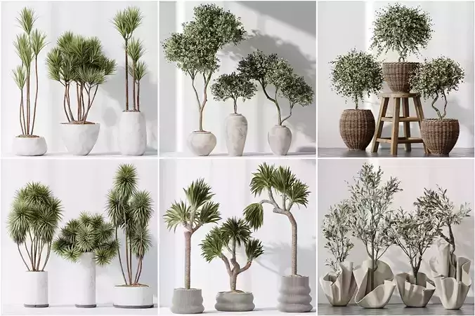 6 Different SETS of Plant Indoor SET VOL107