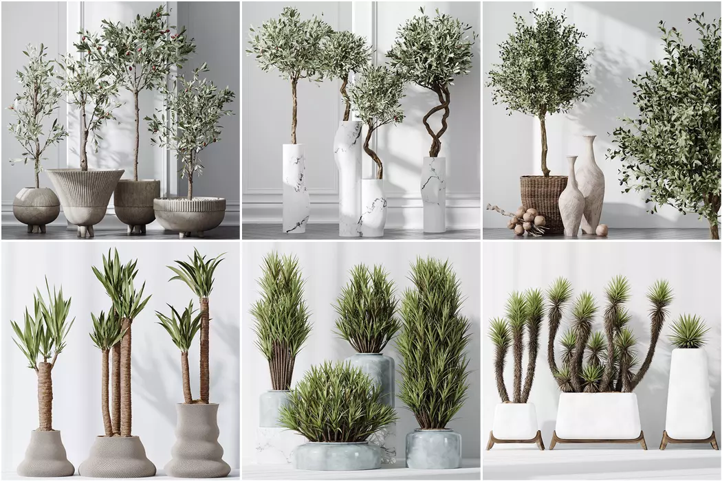 6 Different SETS of Plant Indoor SET VOL108 3D Model Collection_0