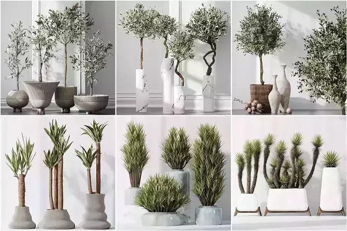 6 Different SETS of Plant Indoor SET VOL108 3D Model Collection