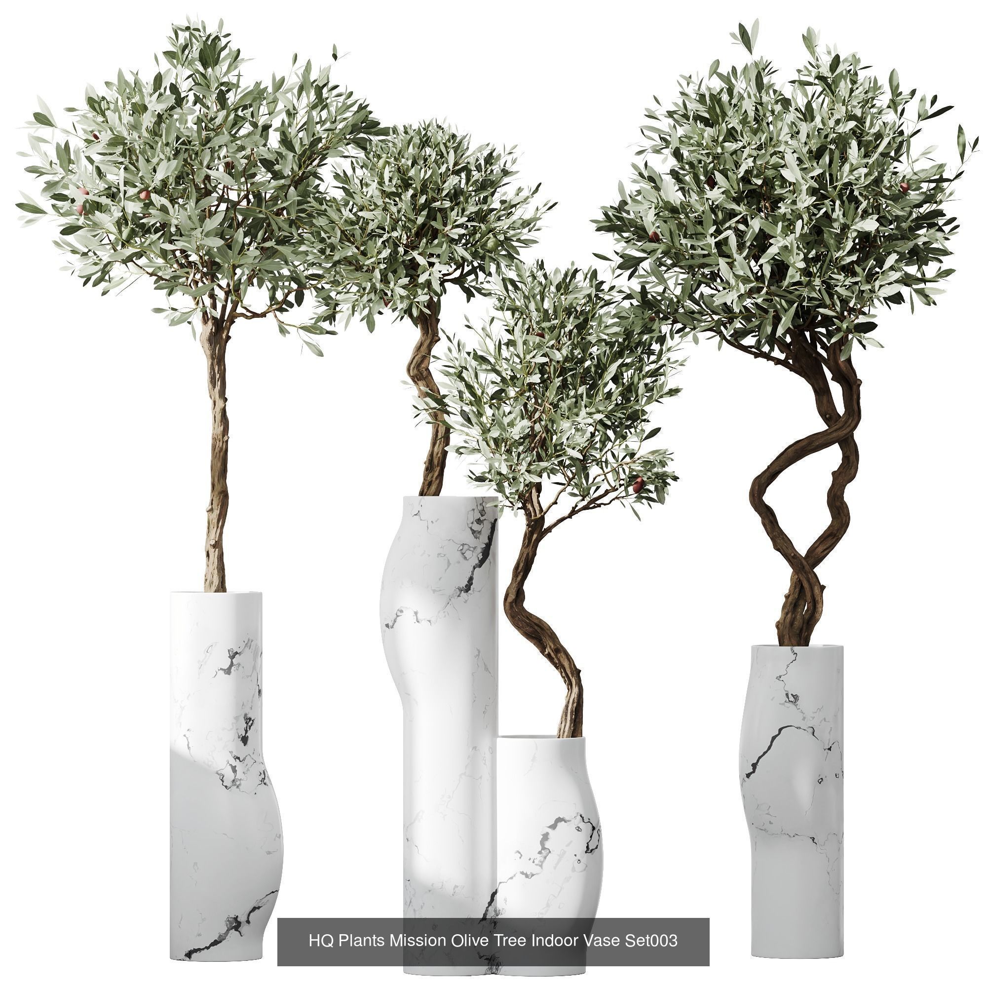 6 Different SETS of Plant Indoor SET VOL108 3D Model Collection_3