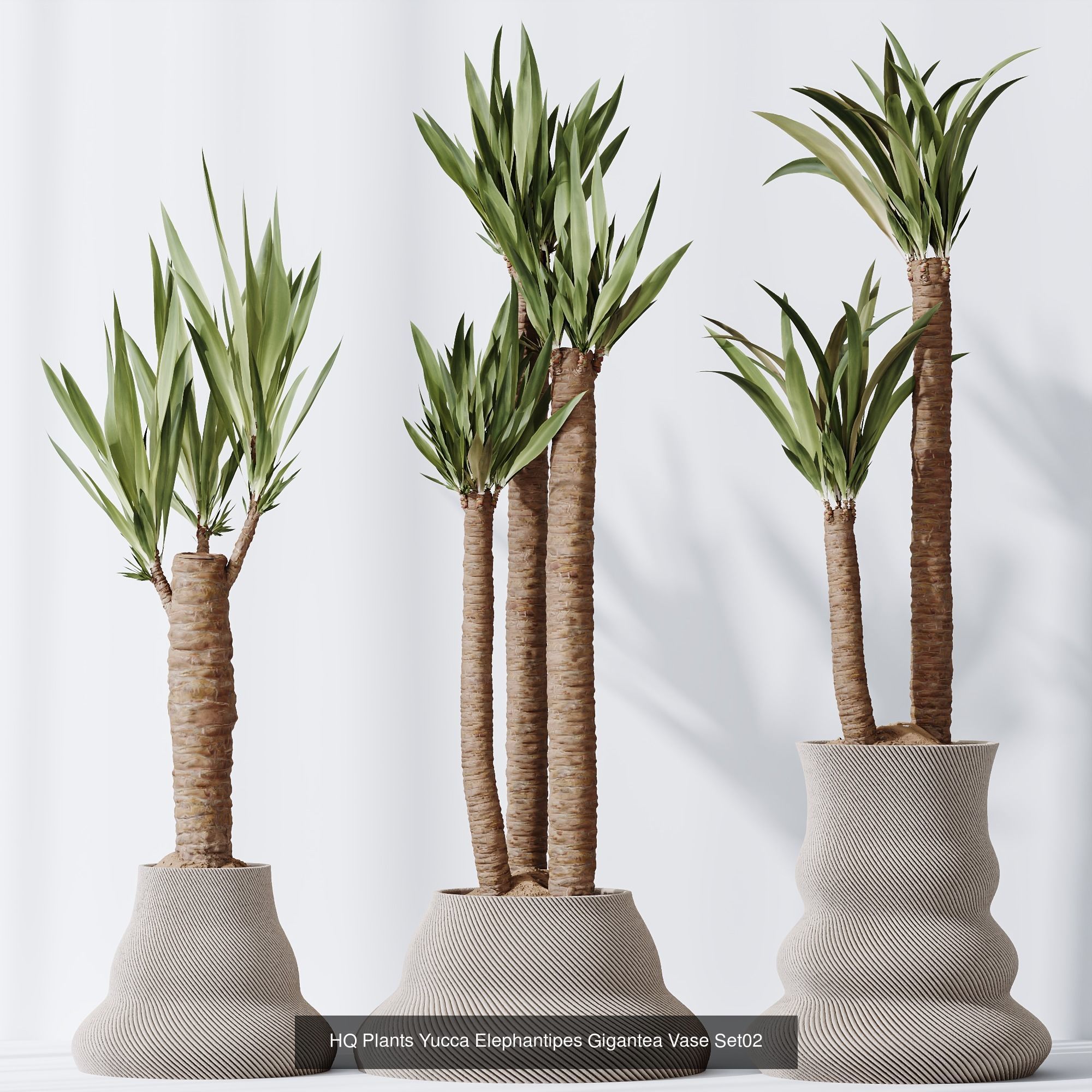 6 Different SETS of Plant Indoor SET VOL108 3D Model Collection_5
