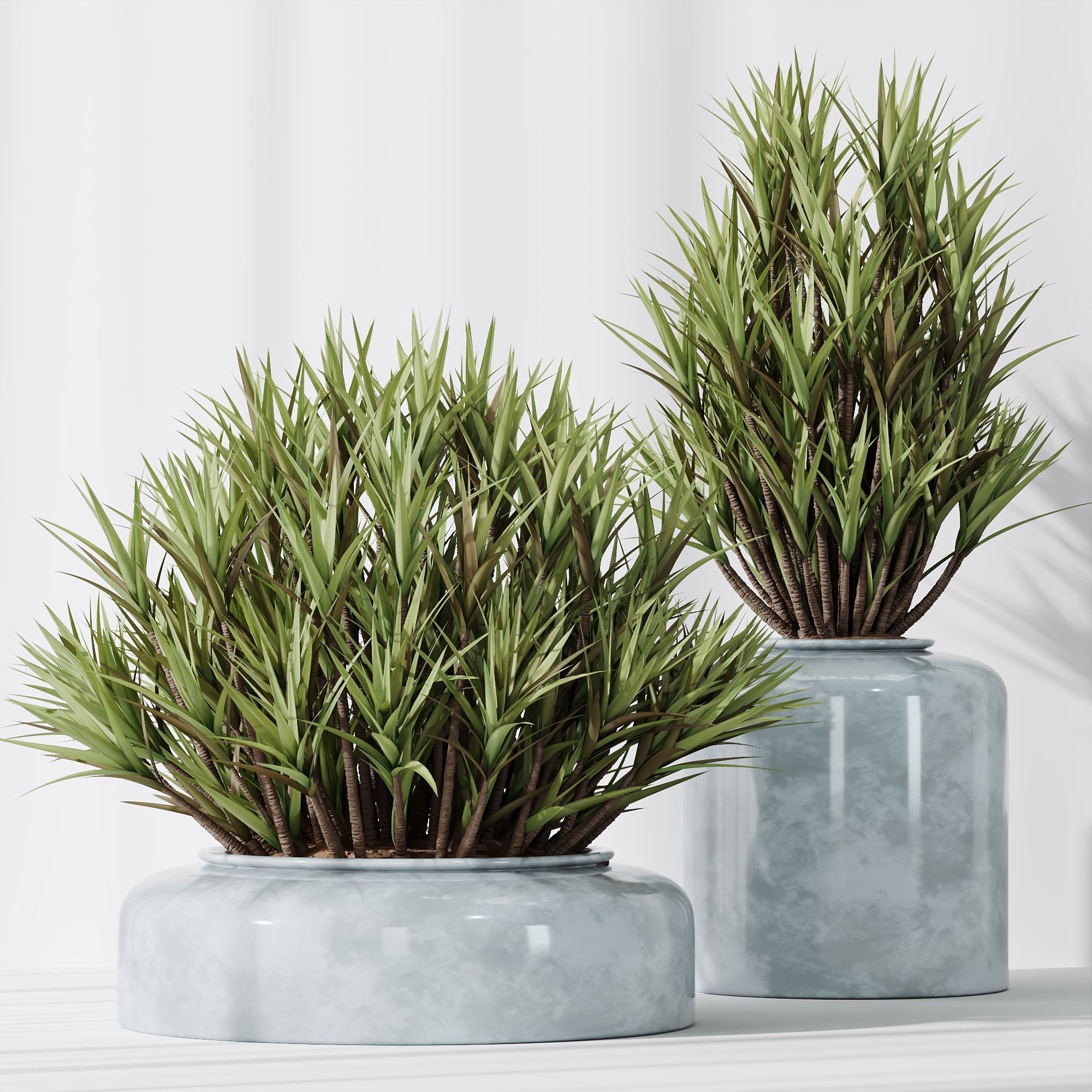 6 Different SETS of Plant Indoor SET VOL108 3D Model Collection_18