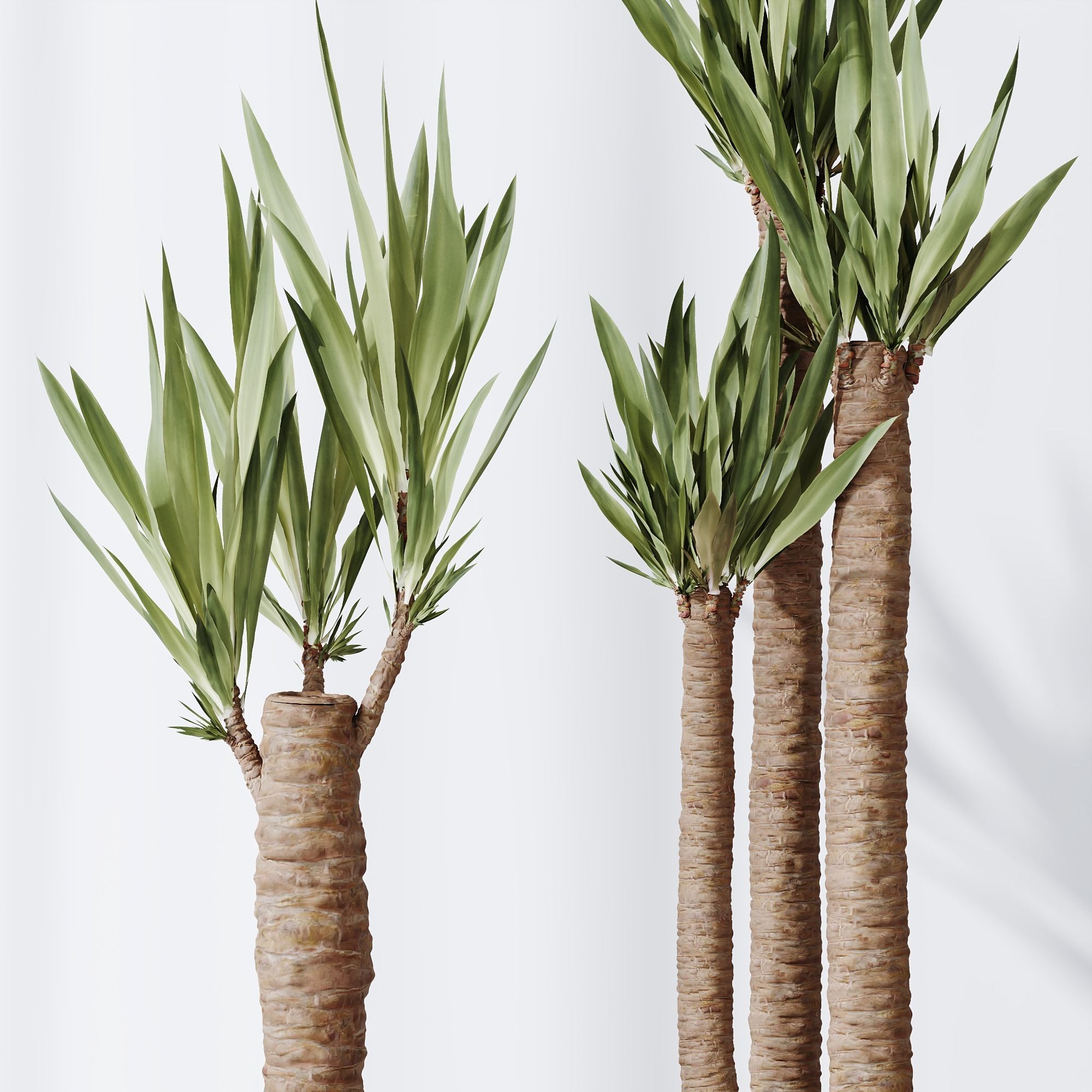 6 Different SETS of Plant Indoor SET VOL108 3D Model Collection_10