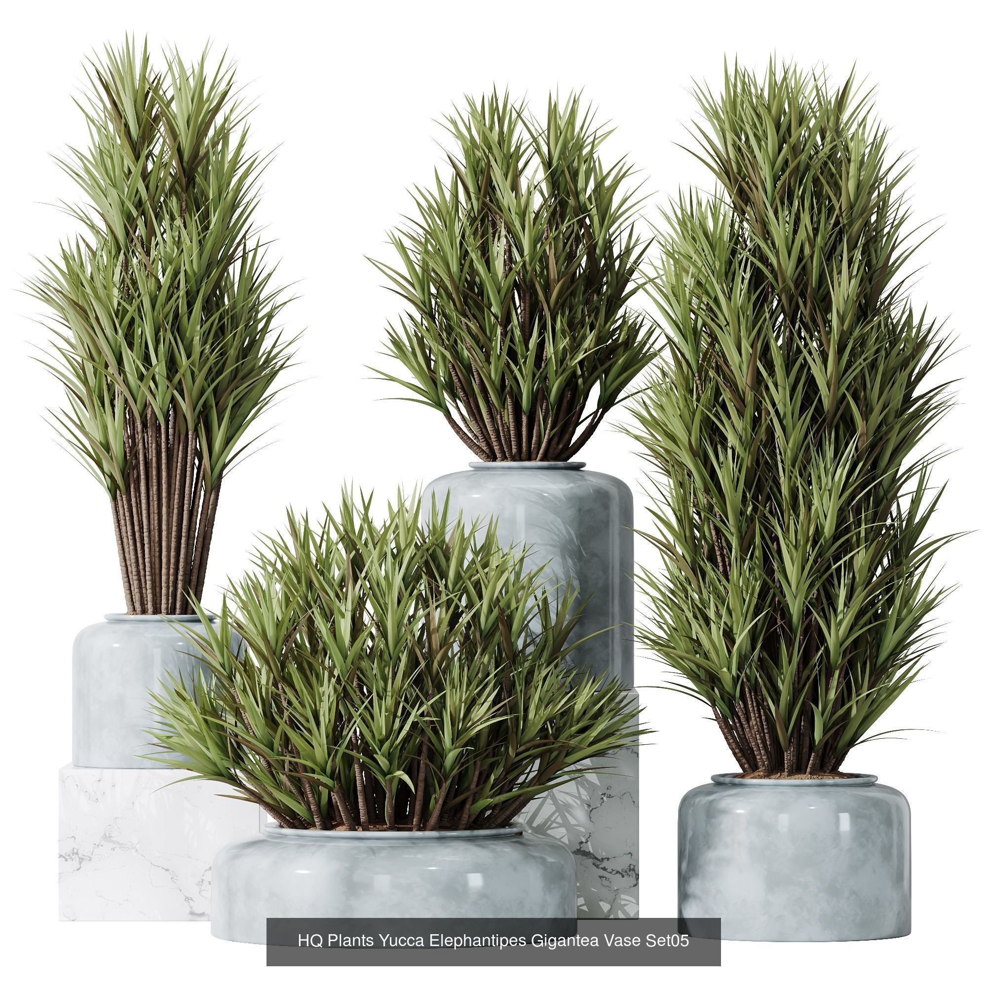 6 Different SETS of Plant Indoor SET VOL108 3D Model Collection_6