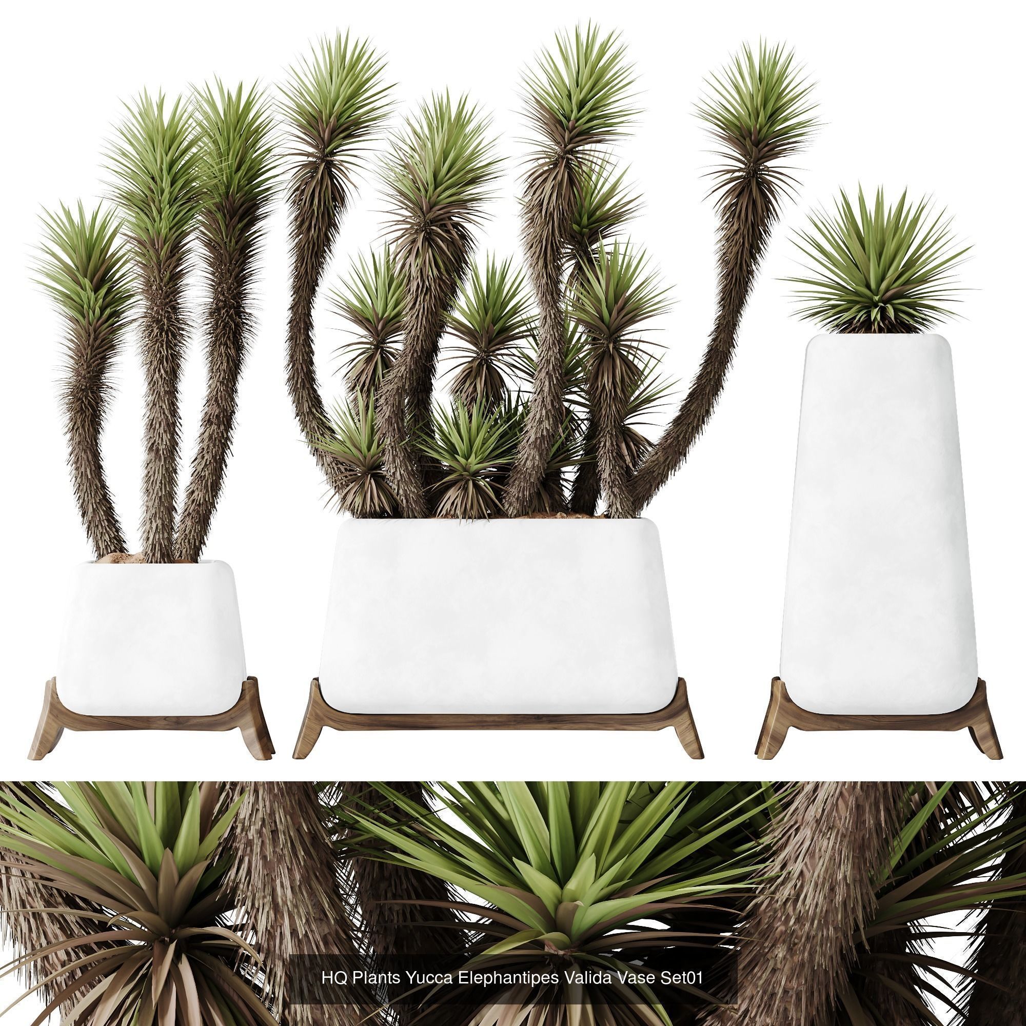 6 Different SETS of Plant Indoor SET VOL108 3D Model Collection_7