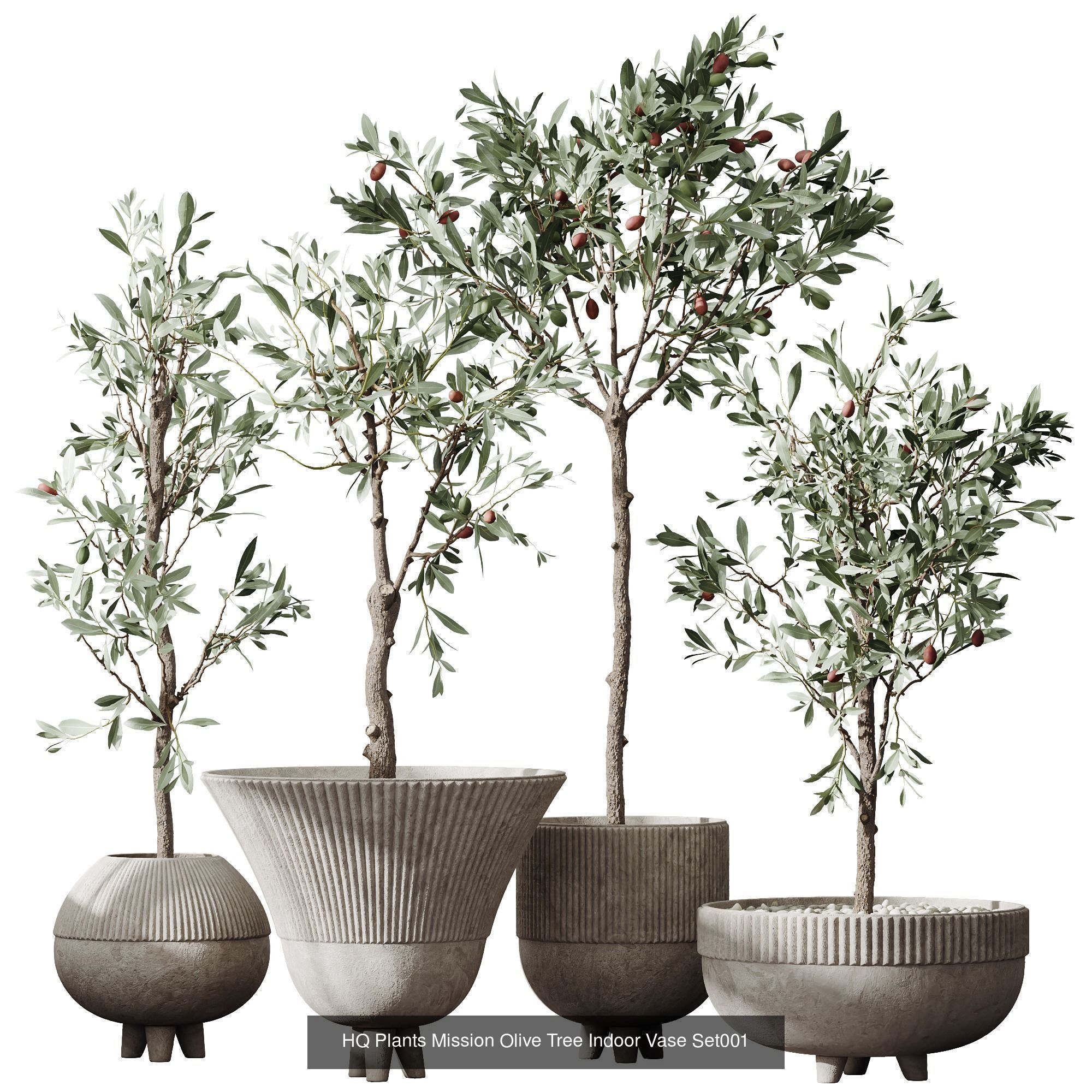 6 Different SETS of Plant Indoor SET VOL108 3D Model Collection_2
