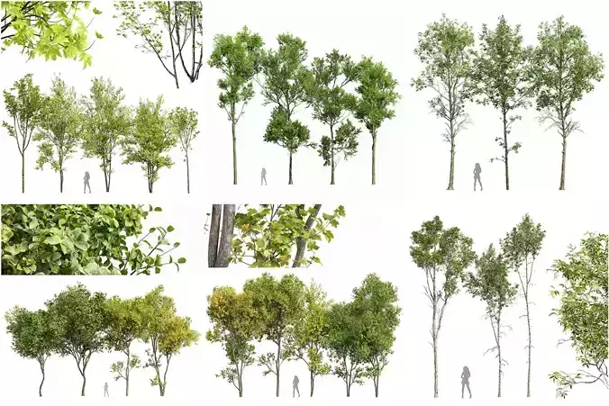 6 Different SETS of Tree SET VOL109 3D Model Collection